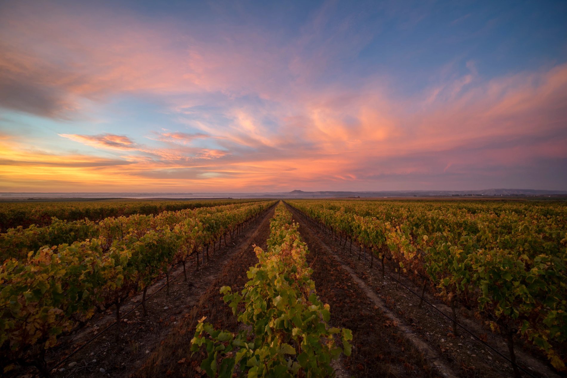 41426502-26fd-4ac6-89fe-054bae16984a