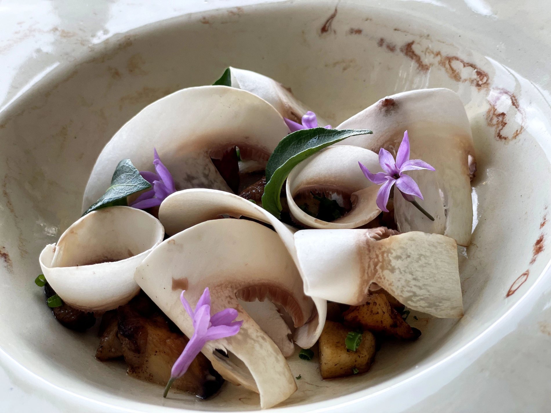 Le Phébus | Restaurant