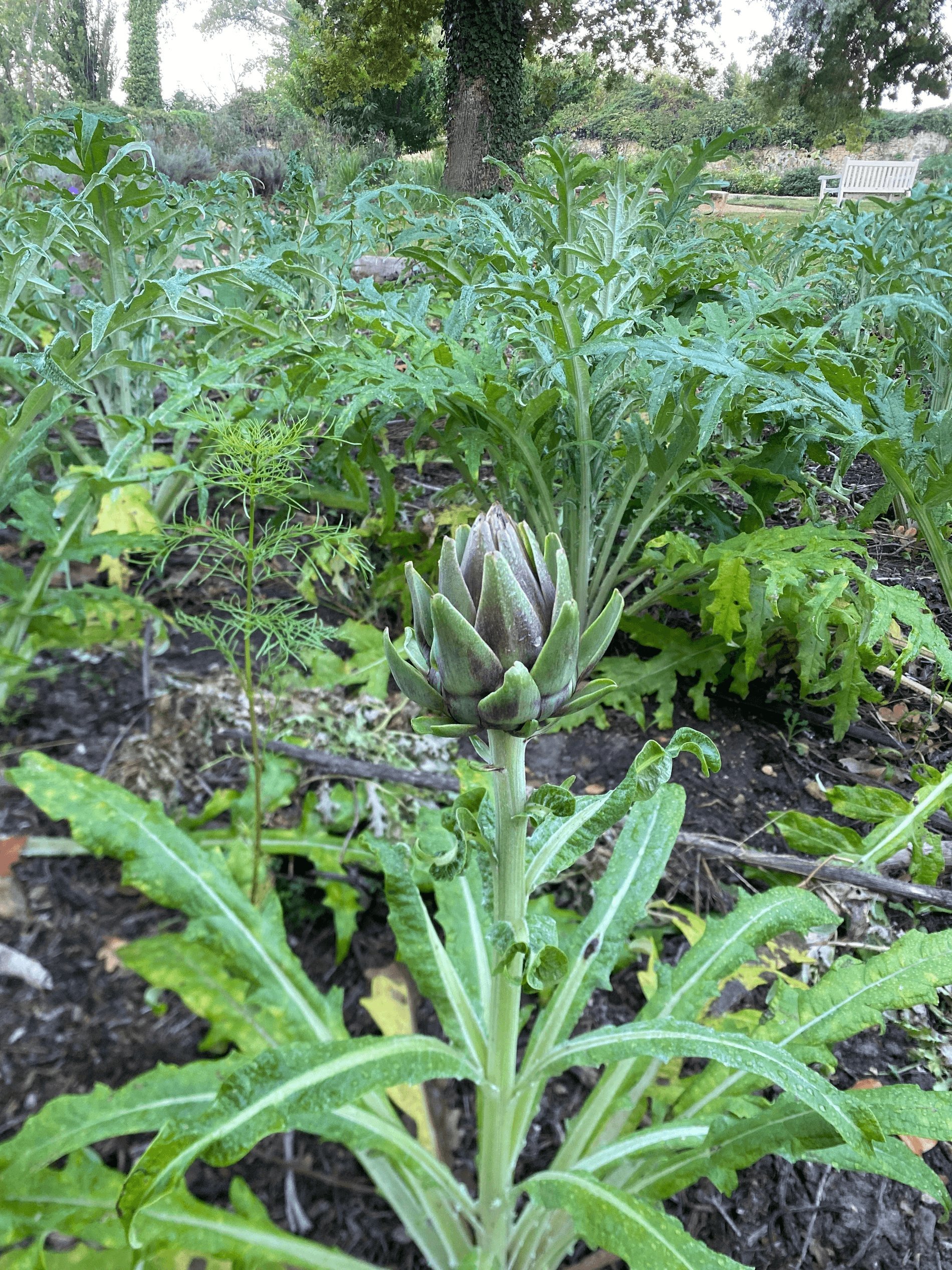 42981f6b-352e-40da-8c2b-da7e6072de6a