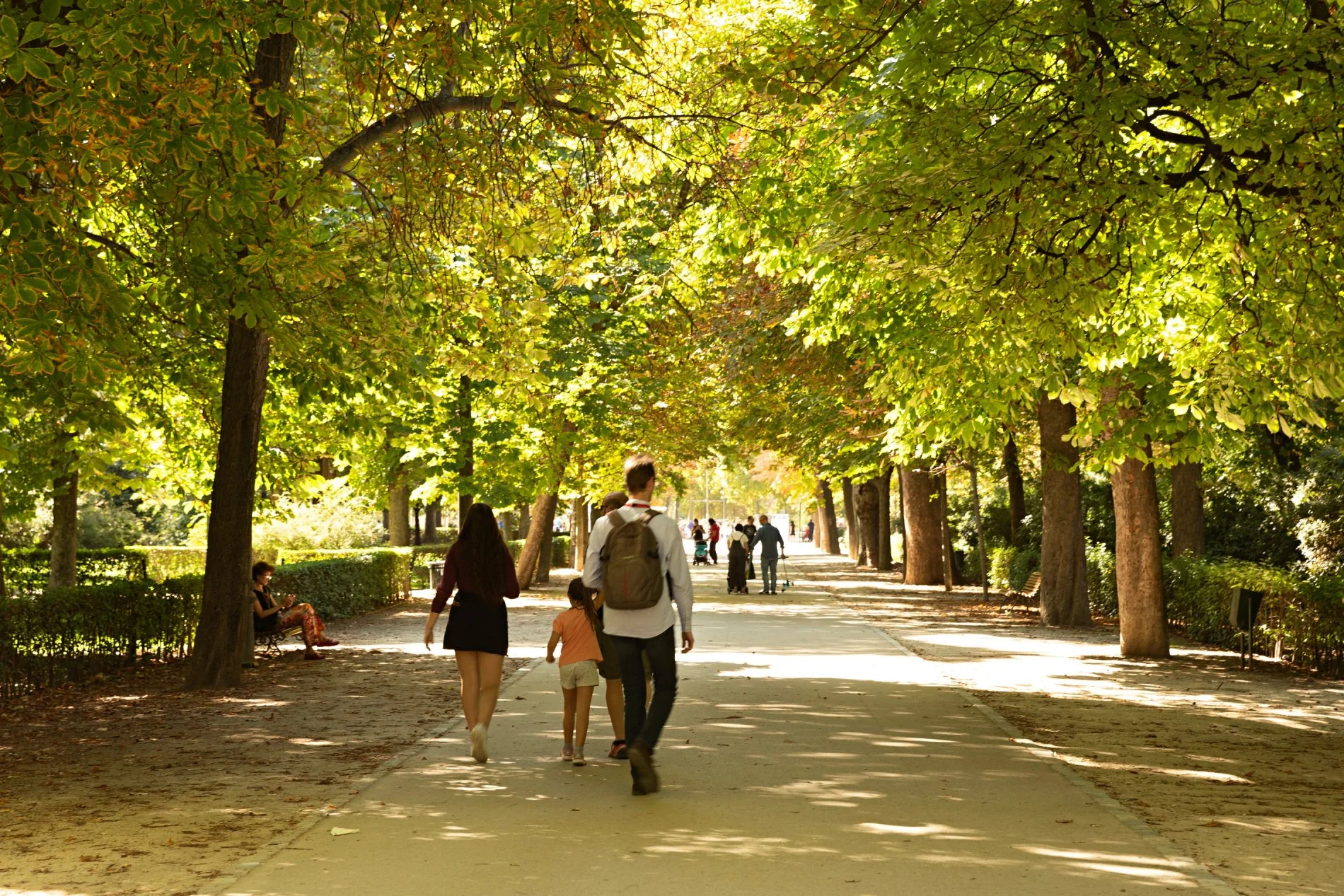 42ecce63-8342-494d-87f1-405484ca66fa