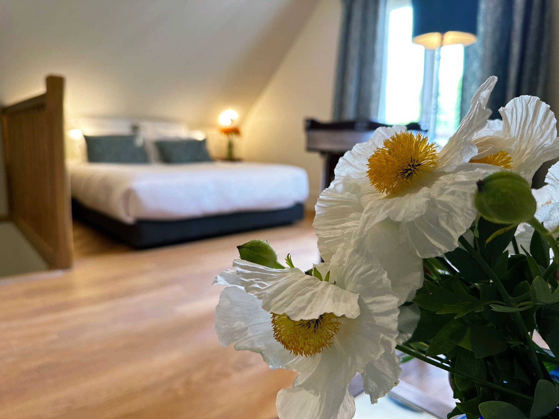 43ae2bcd-7b22-4705-b46f-e35dbd43c7f7