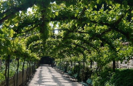 44591cb4-2244-4766-982d-07982b5da029