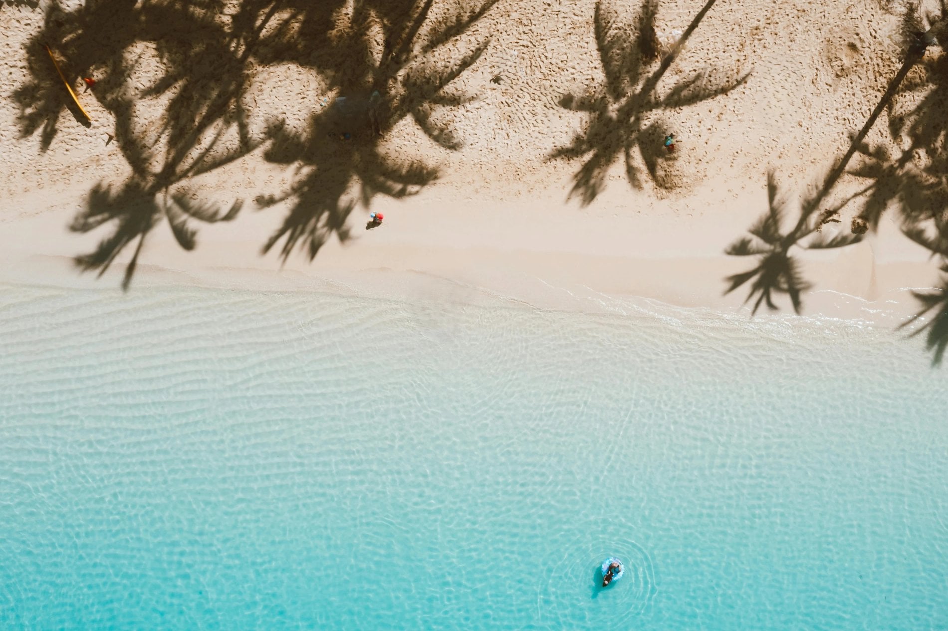 448e2108-77d7-4ee2-89f3-8b99bffd7c40