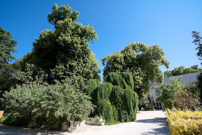 45e48c25-2772-456a-910c-138397c94583