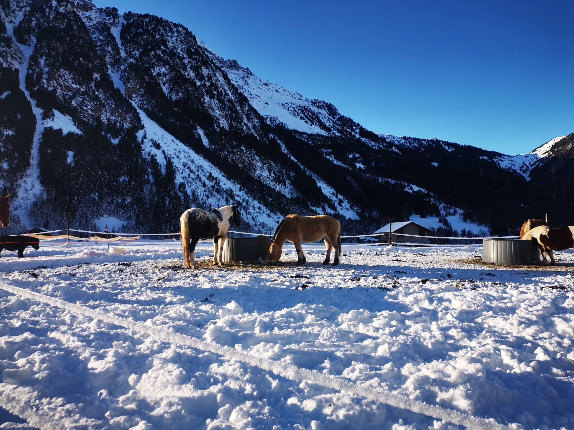 465f9245-c75b-41ea-836f-a8ee96df879d