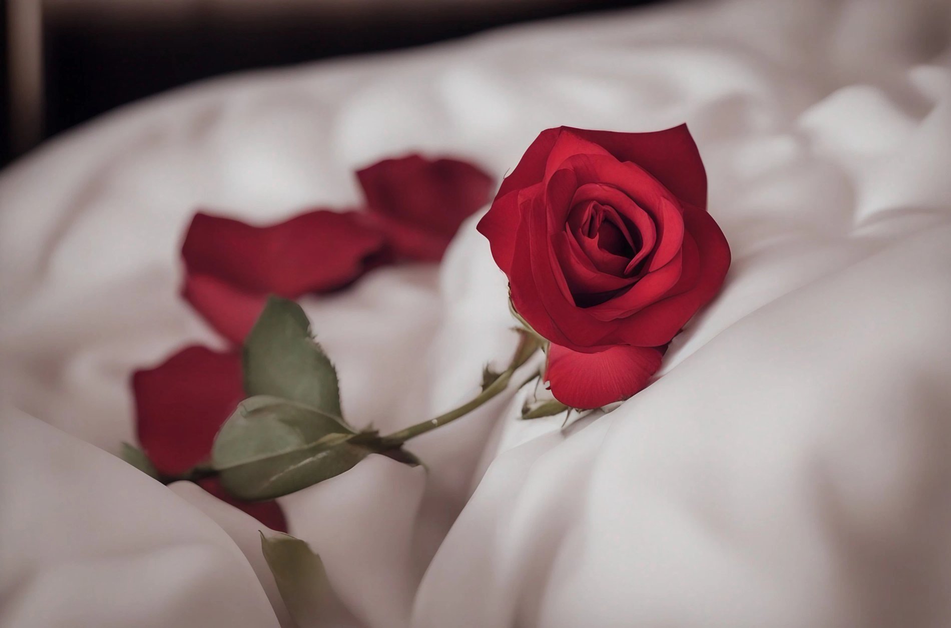 9Hotel Sablon Saint-Valentin