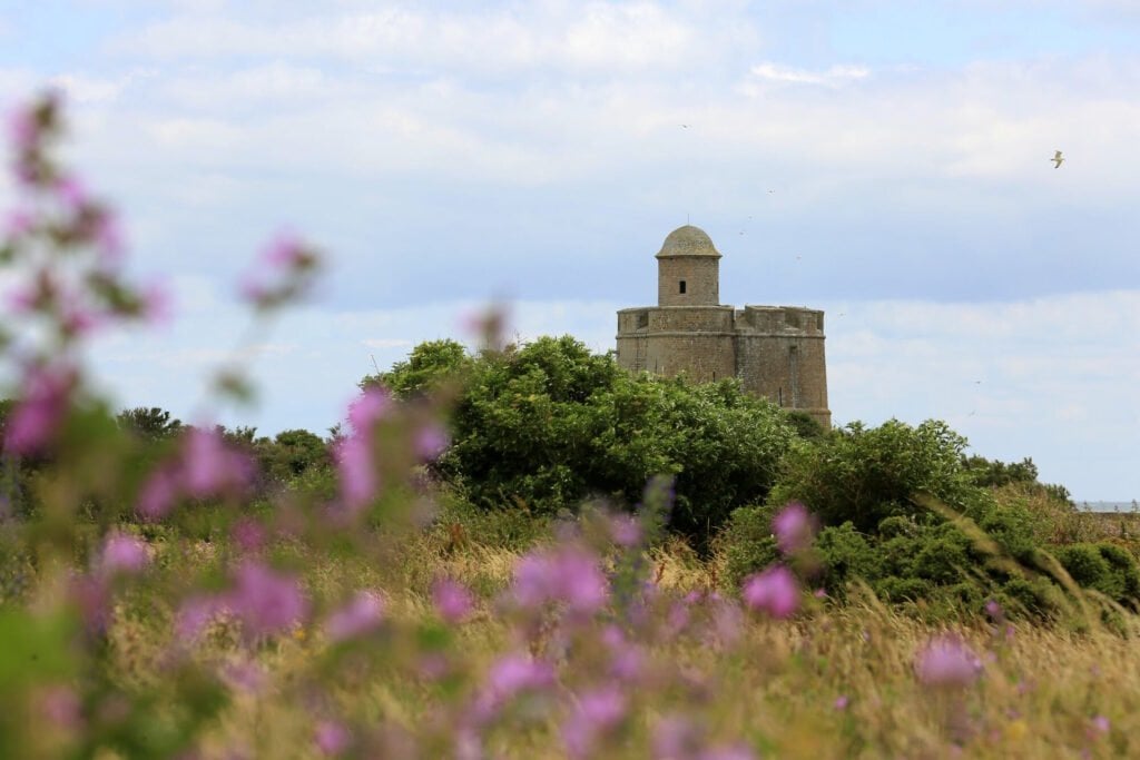 Photo de la tour Vauban entourée de fleurs et herbes