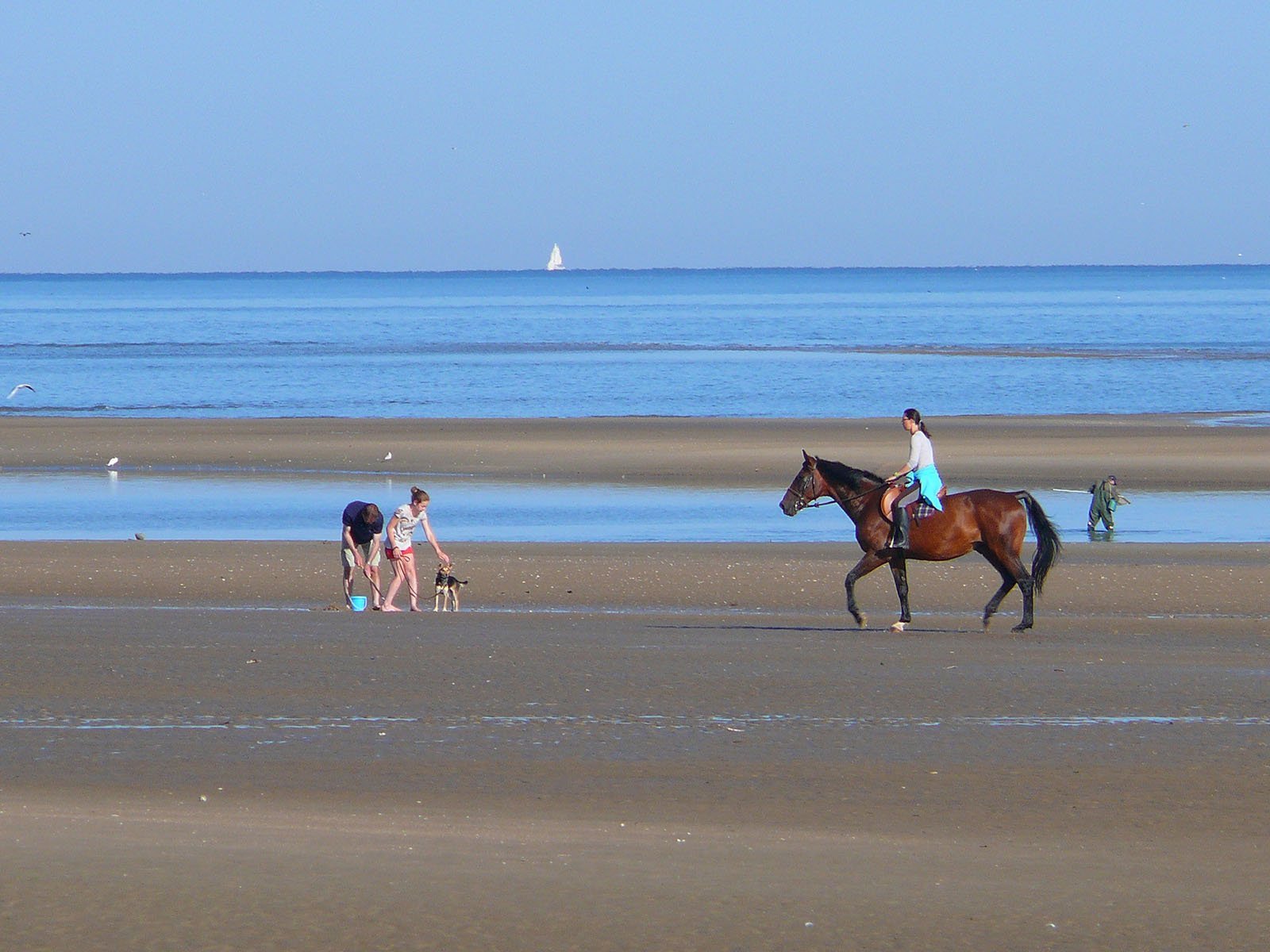 Hôtel SPA Le Lion d'Or | Tourism