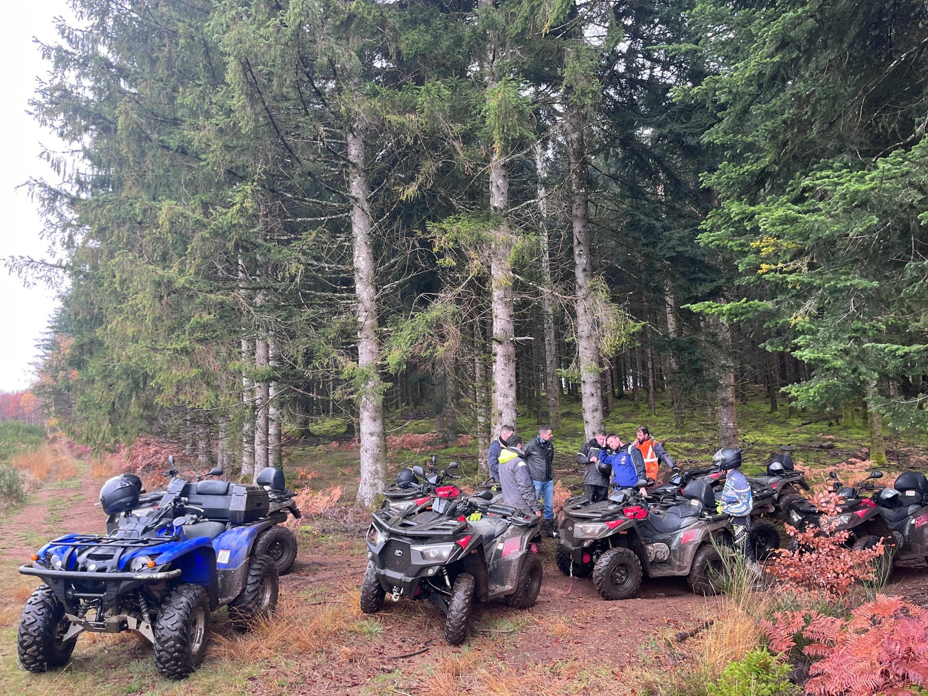 489b12c9-55d8-4605-940a-7eb226c87705