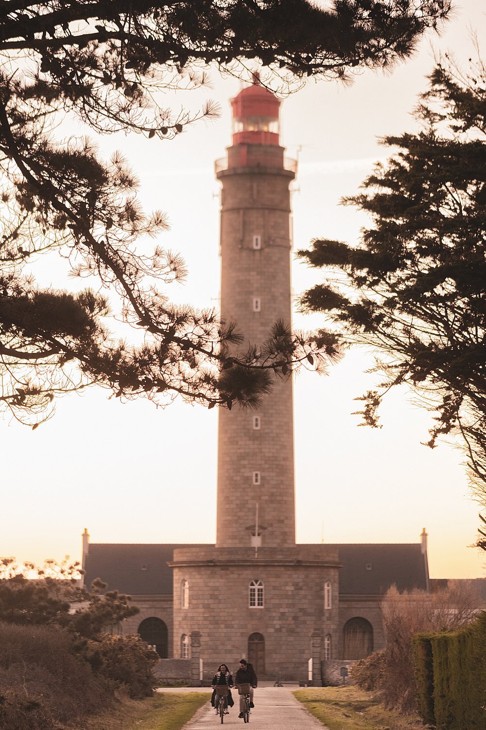 4a0a6001-5177-4ed6-abfd-72d3b5a2cc12