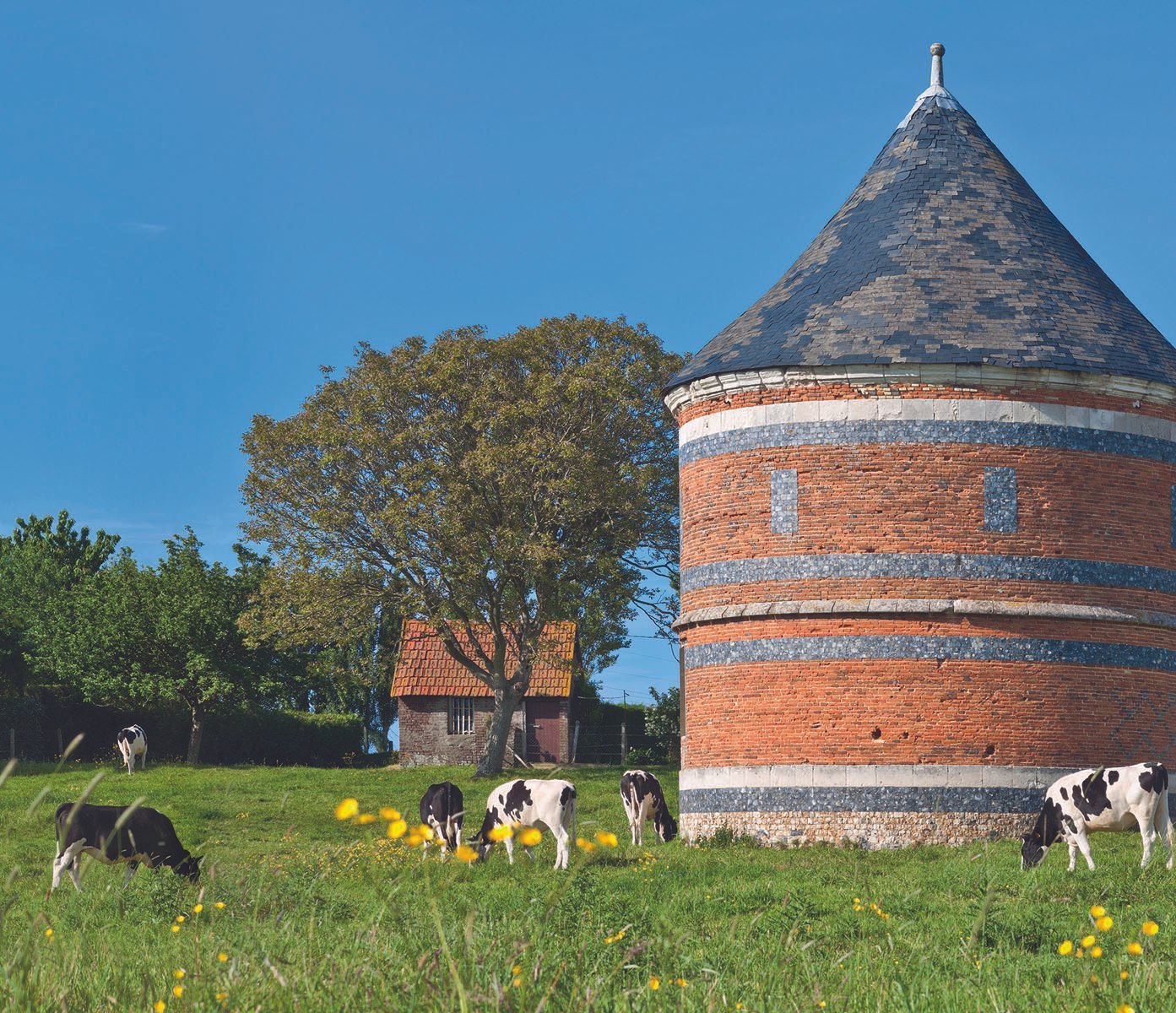 Hôtel SPA Le Lion d'Or | Tourism