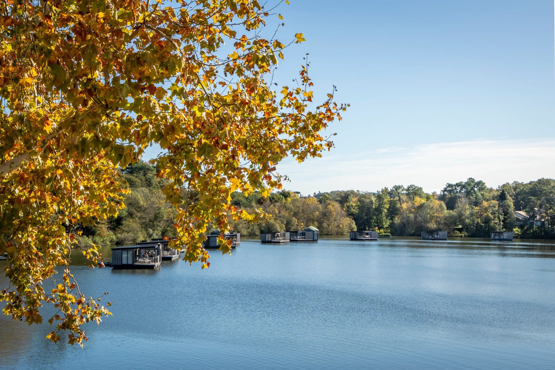 4d90b0ee-d0b7-485e-a14f-0a5c84401fb7