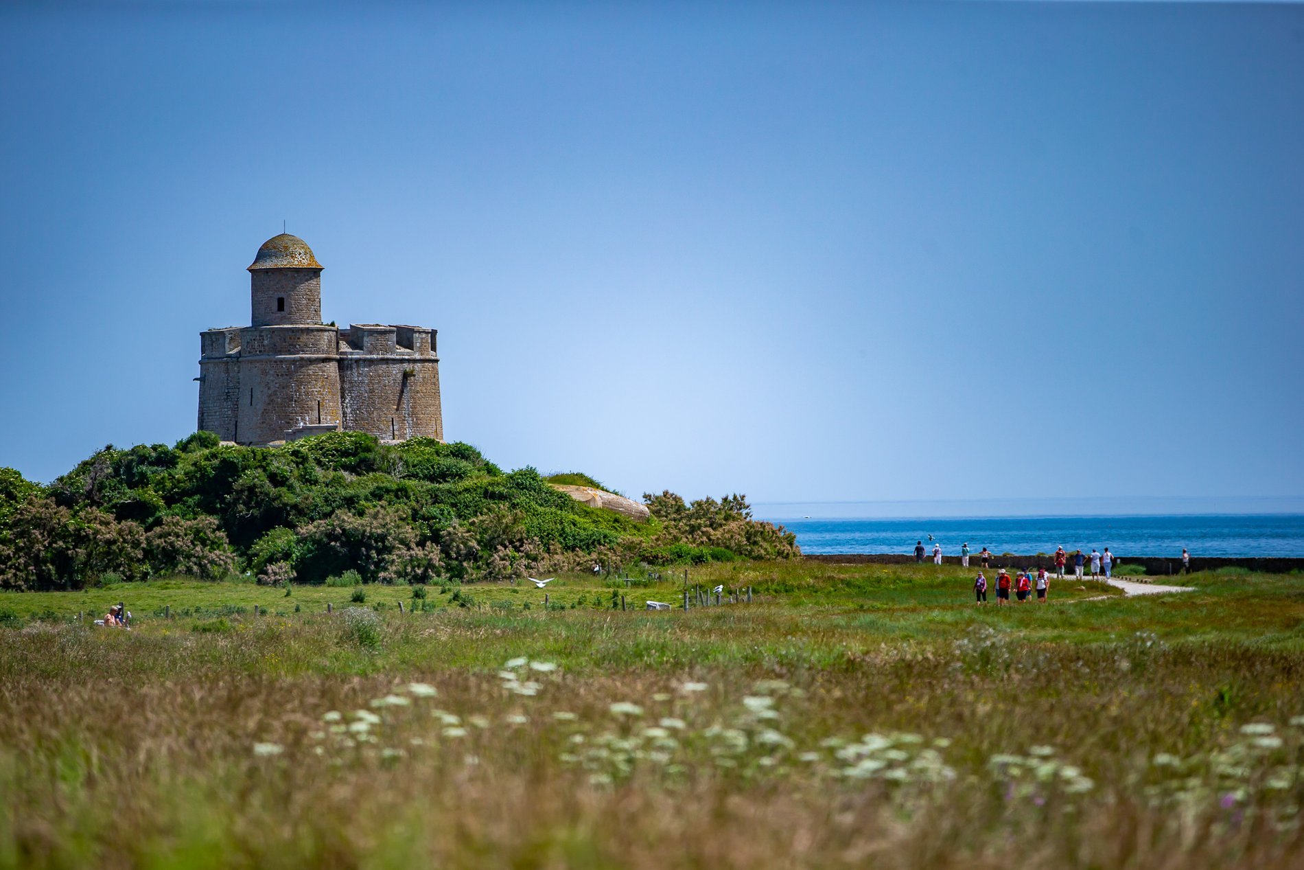 4e7a4d44-a24d-438e-80a2-b31dc43f0f41