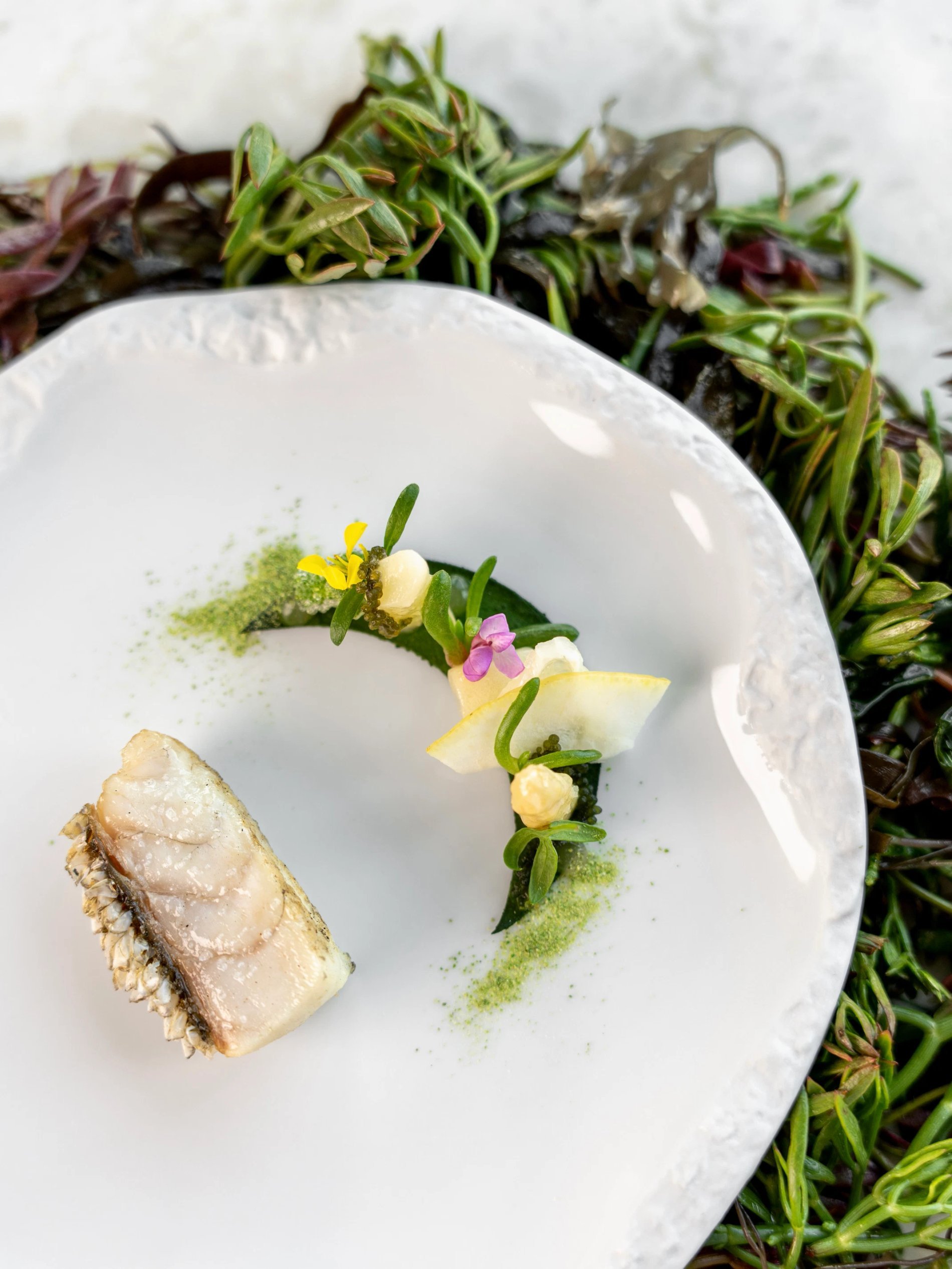 4f889fee-1695-47cc-866f-6040f2f789be