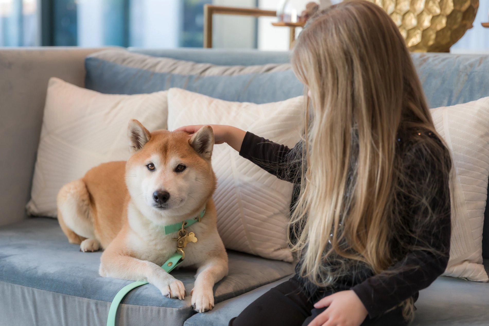 4fb9c1ec-82e0-487c-88a8-c8e882517649