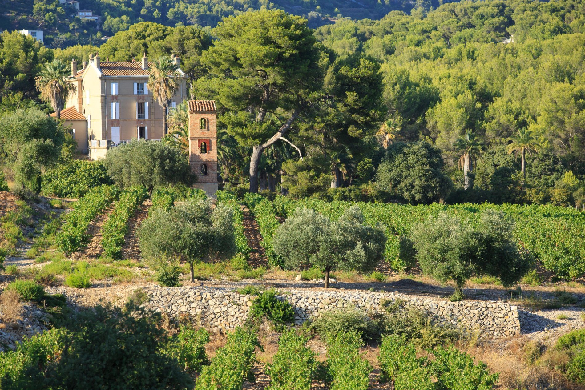 Le Frégate Provence, 