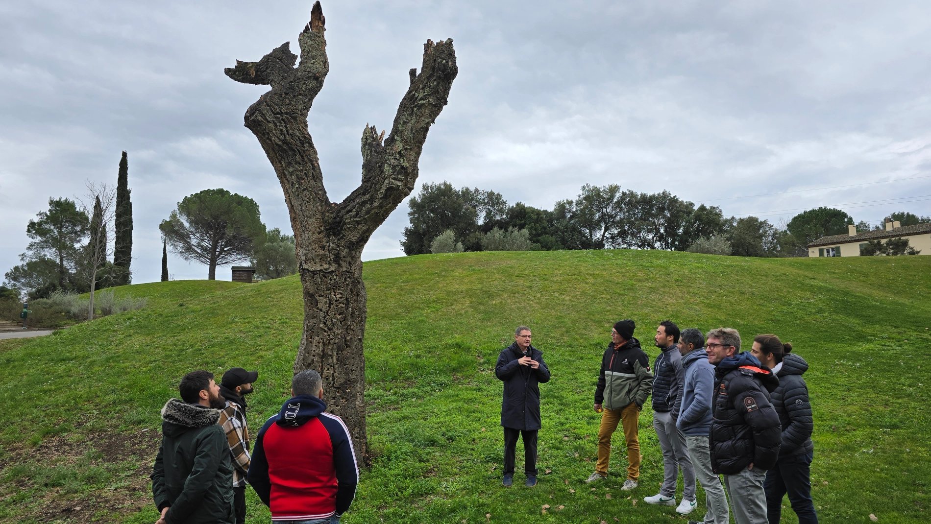 5005dcdc-9aa0-4886-8331-51afda17bf9c