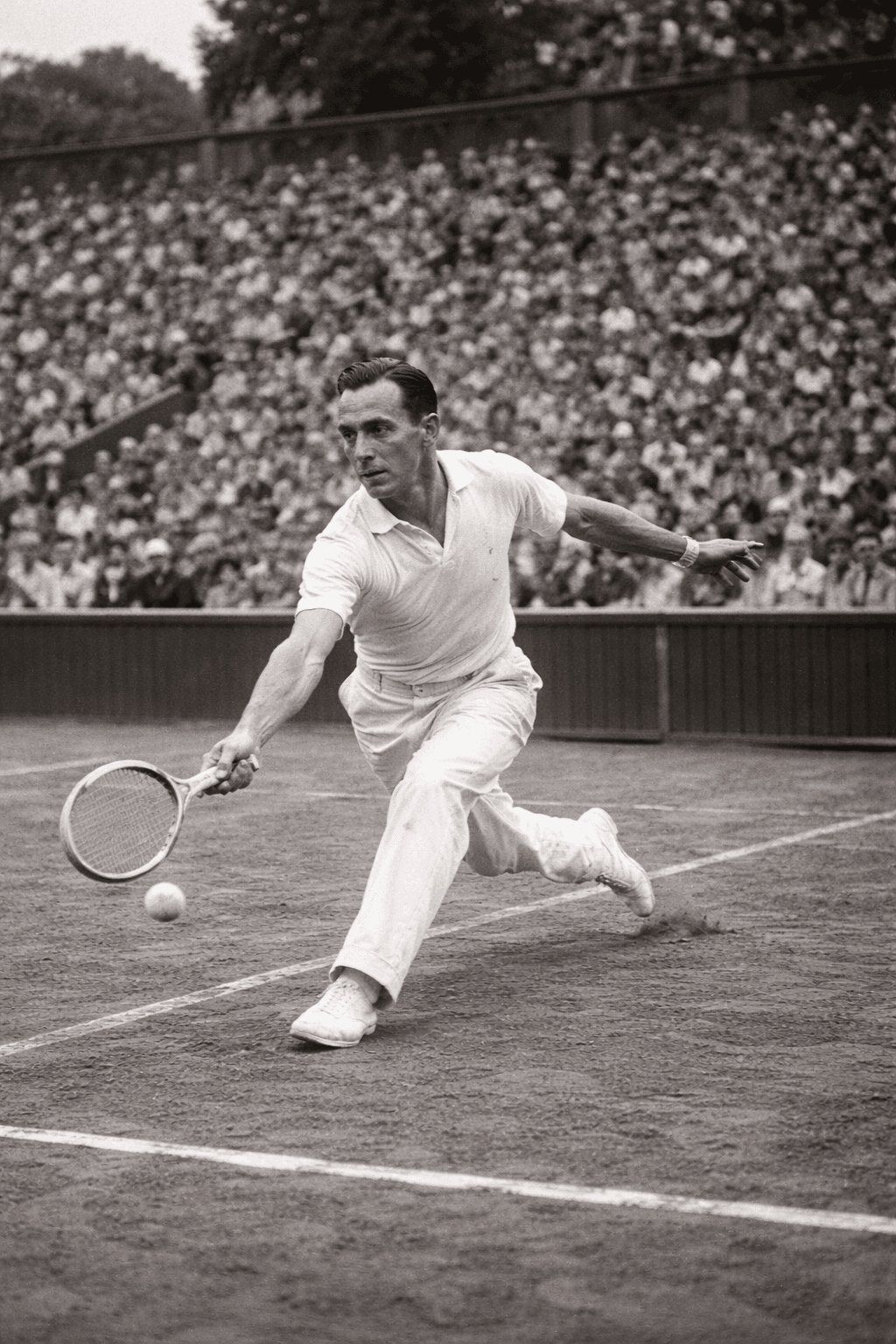 50233969-e52f-4a3c-9c4b-bf1ef5e35a61