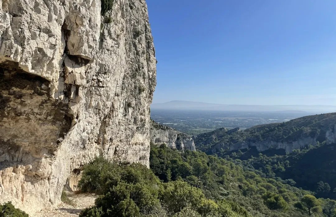 51d97abf-4592-4b32-8f34-7b5ffc8ab742