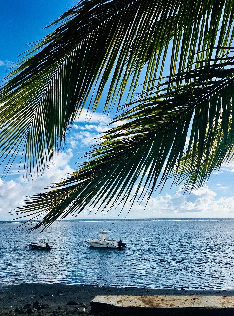 51e18f10-3552-42b5-aa4d-4dbfb247c323