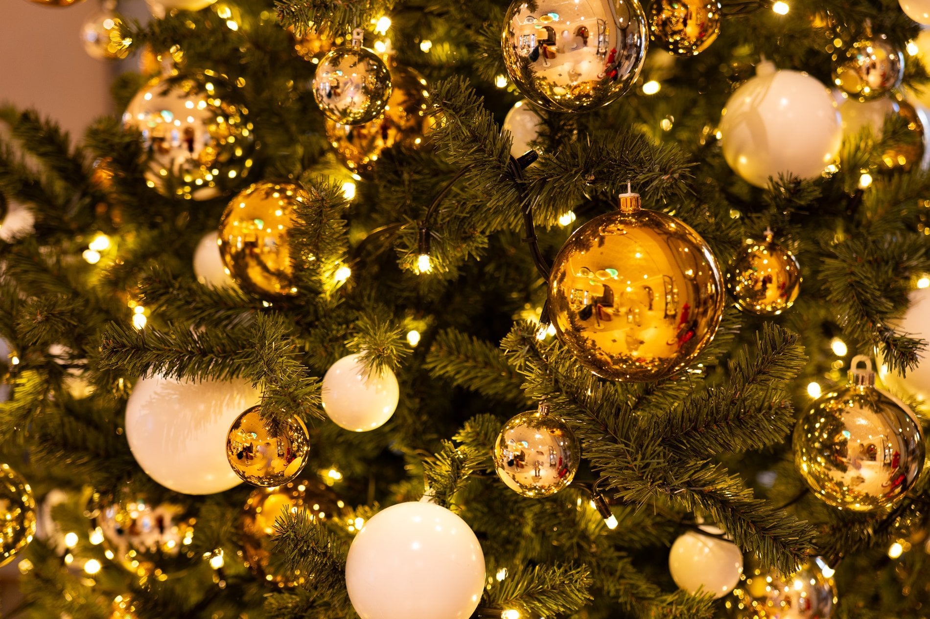 521f10c1-1af0-40e3-b4ed-a1781457ee5b