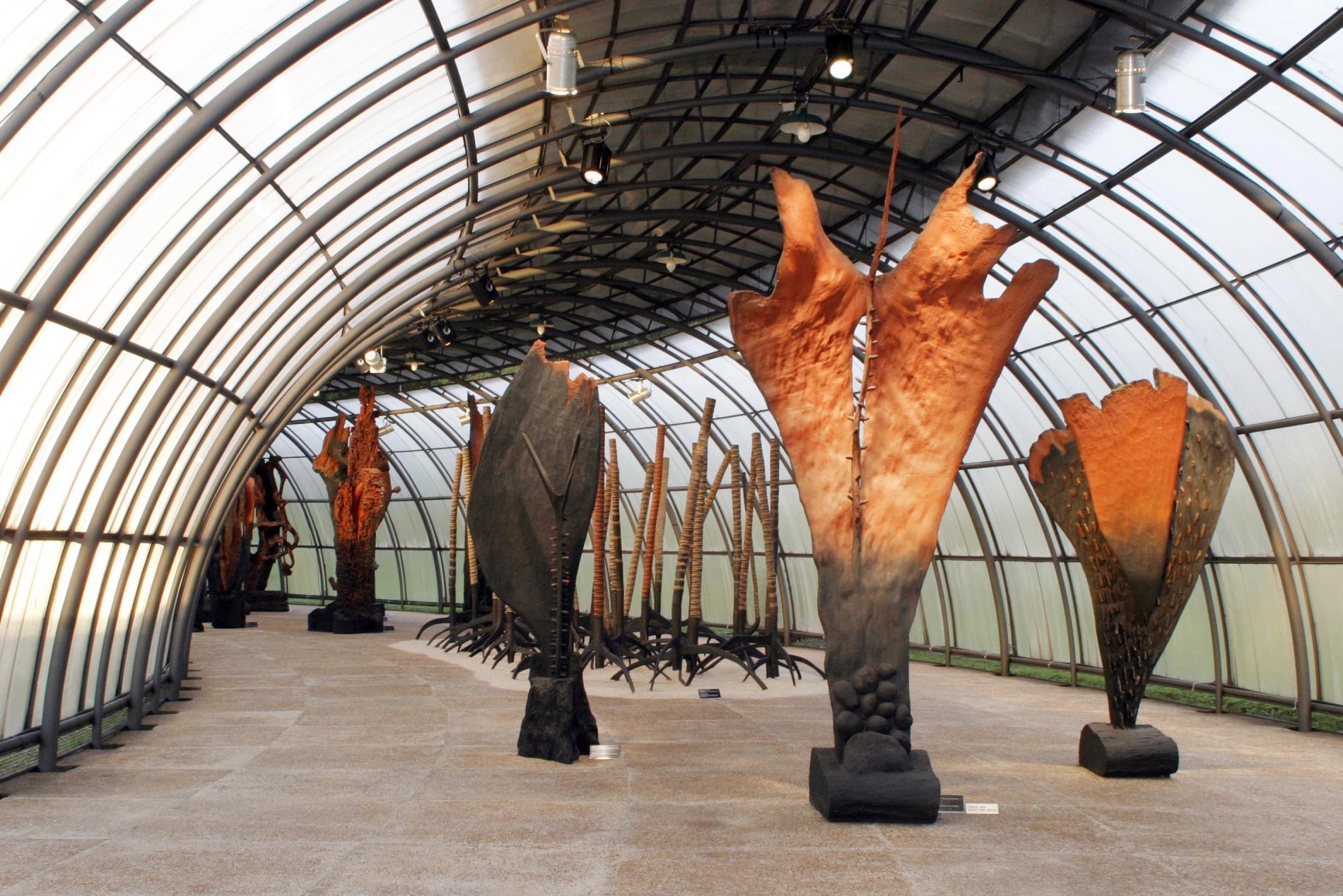 539471b6-7c7b-488d-8bb8-236f63a9b68a