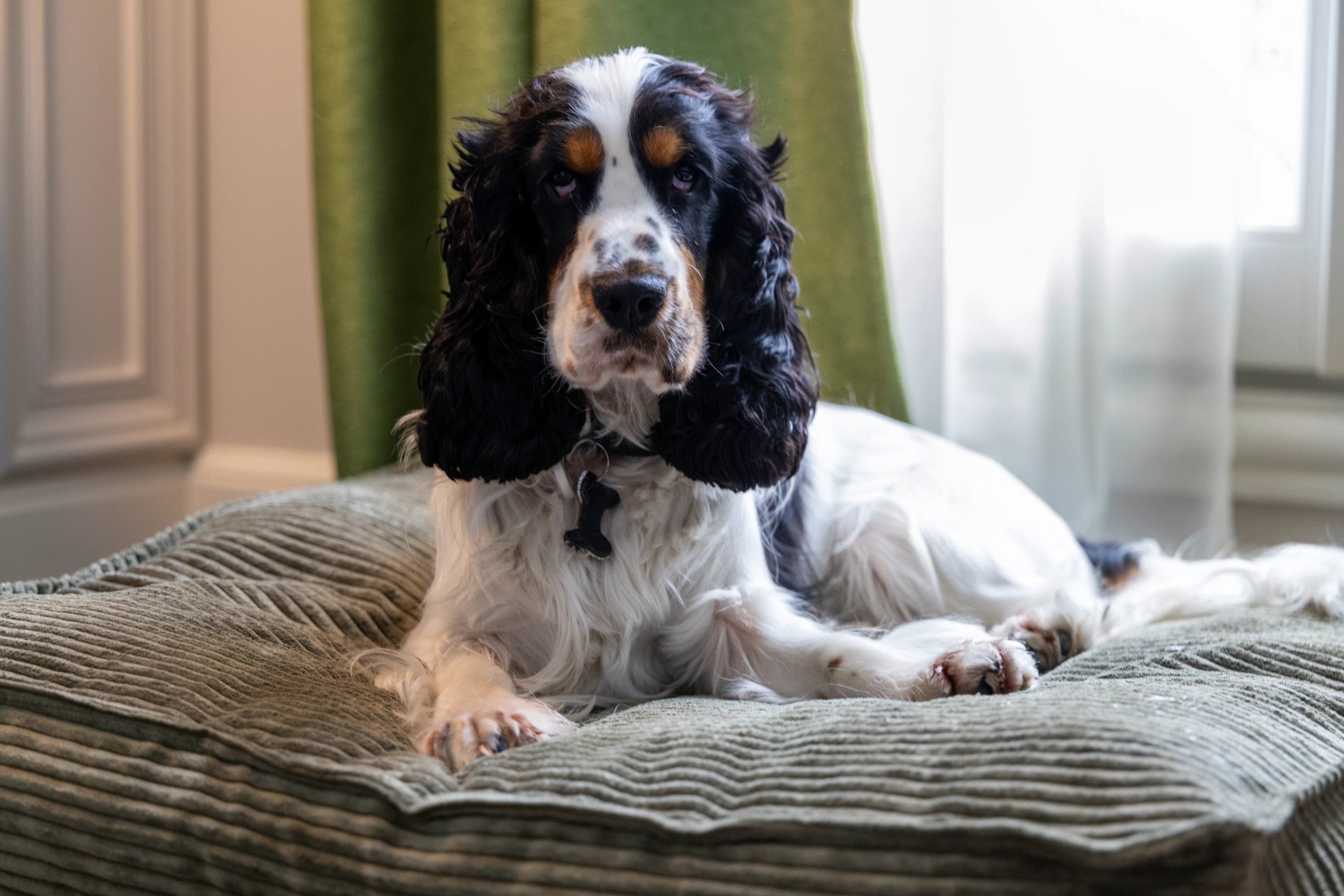 Hôtel L'Ormaie Pet-friendly