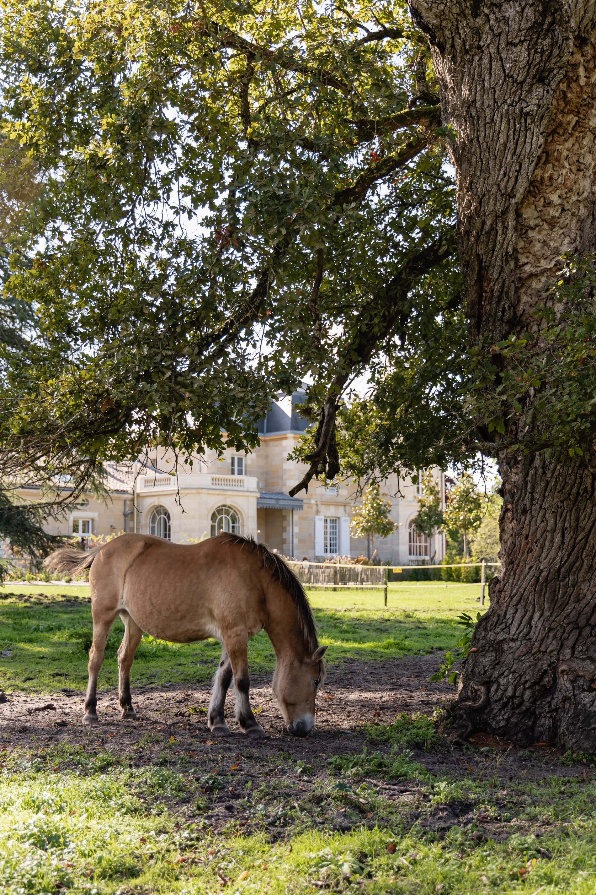 548be7f4-24ab-441d-bbe2-080e34ac3170