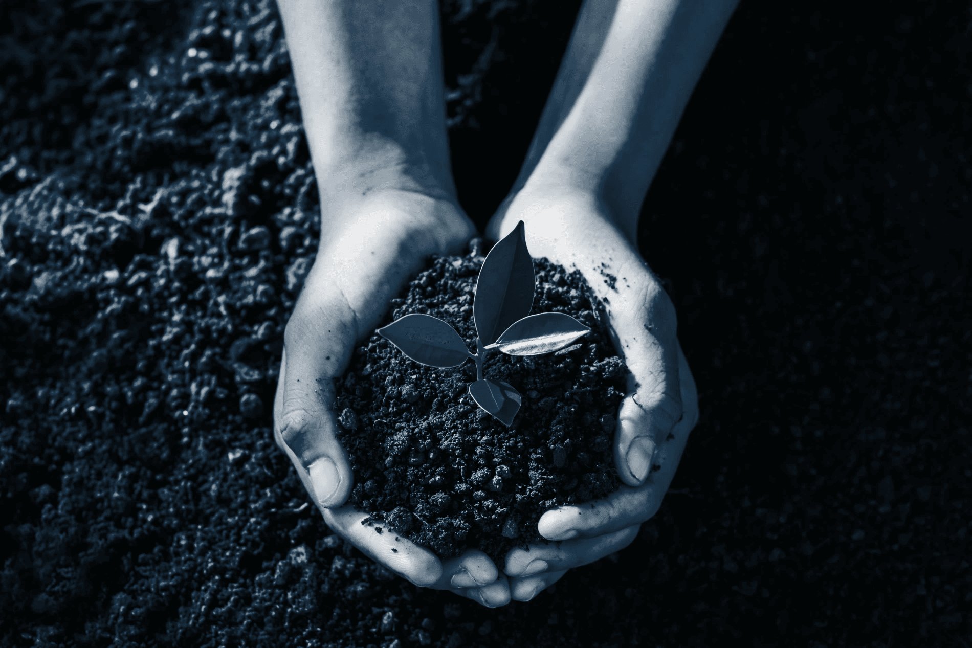 548f65a5-327c-4de7-9a98-594a7e6b067f