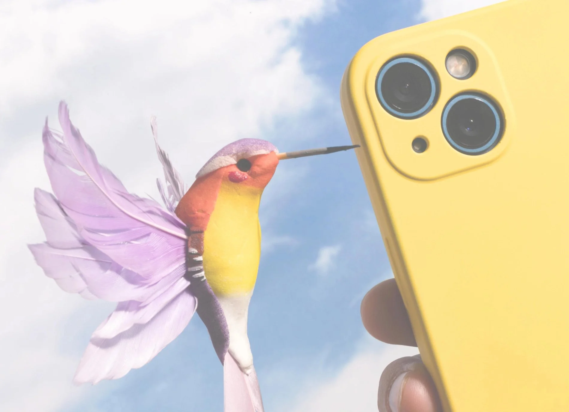 Insaho | Contact | Découvrez toutes nos ressources pour vous accompagner