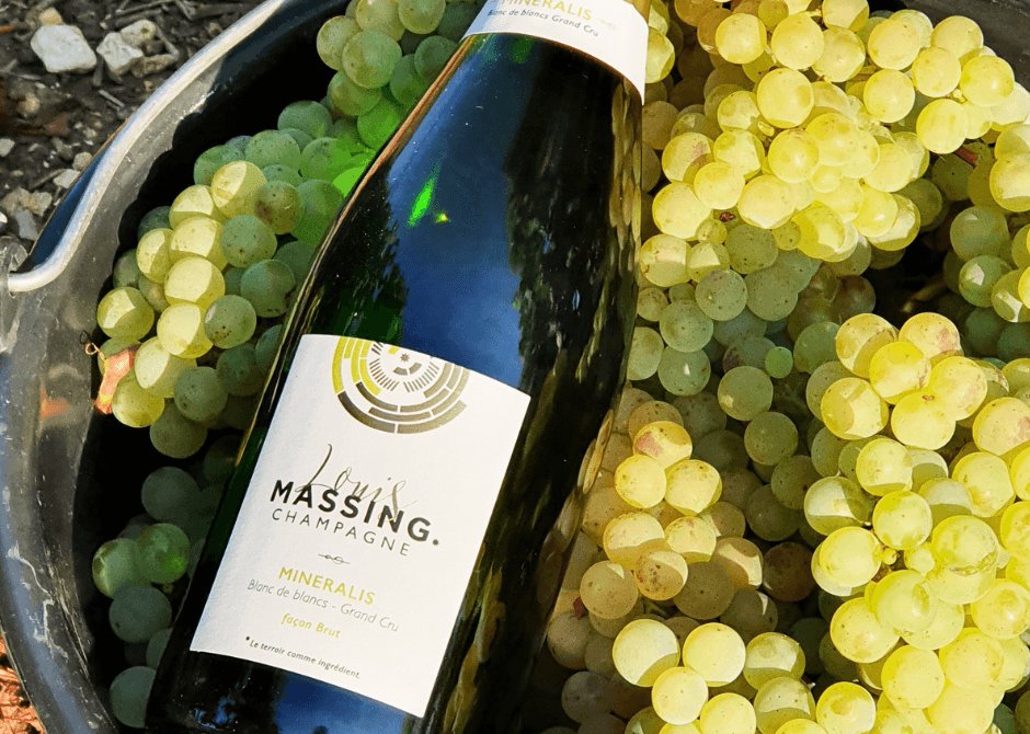 55d60cda-6e51-42af-91aa-484fdbcace0b