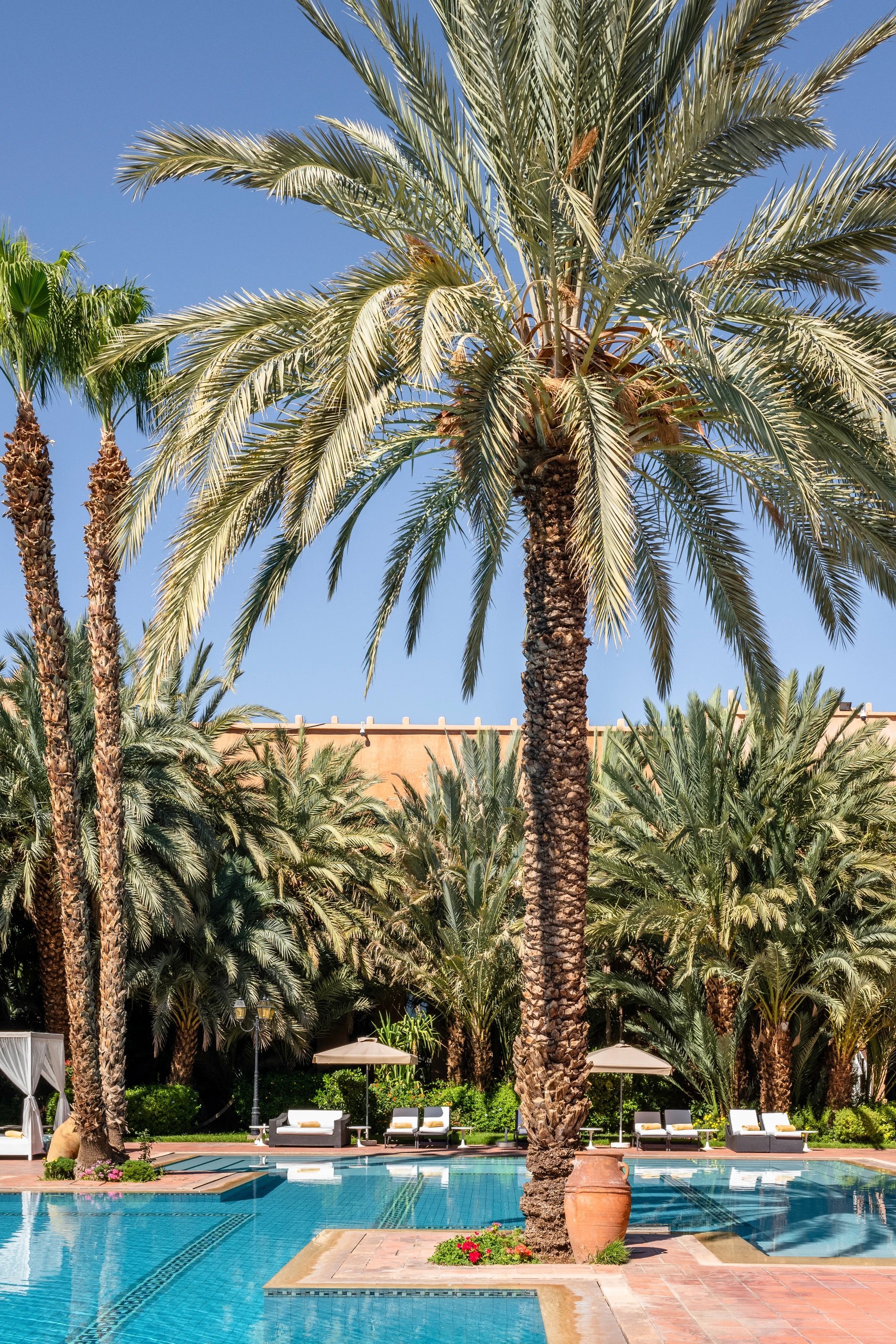 Palmiers dans le jardin du Berbère Palace à Ouarzazate sous un ciel bleu