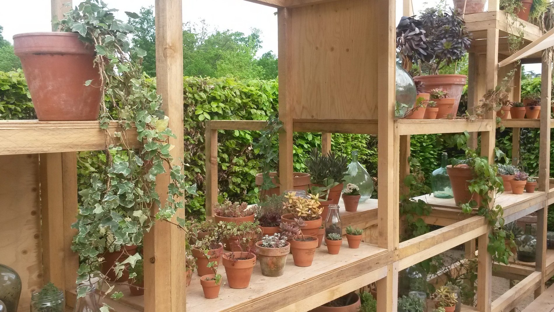 5772592d-7a3d-4c19-ba05-8dda75dfaa41