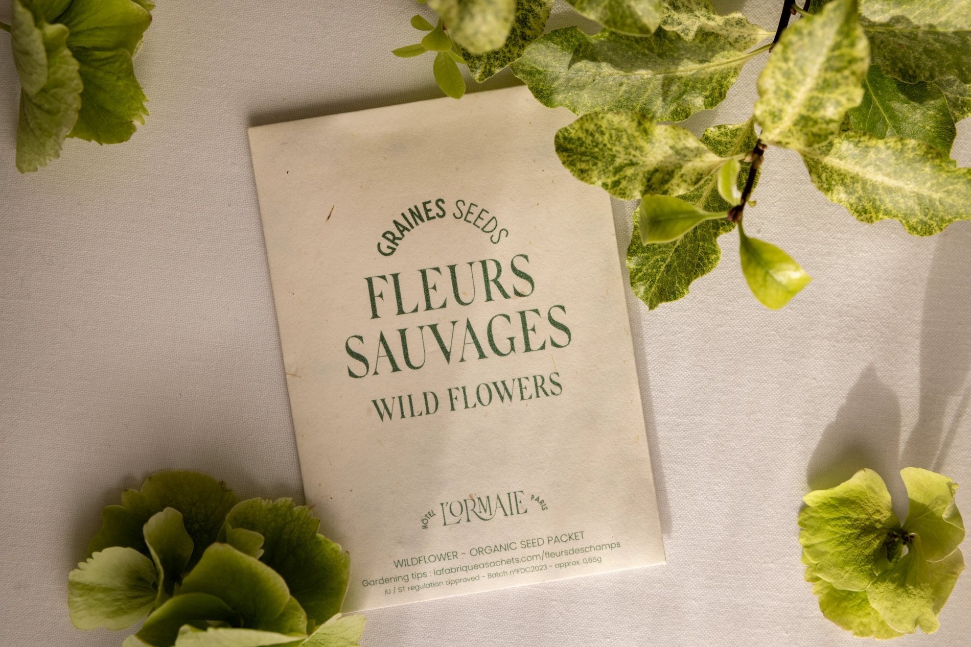 Hôtel L'Ormaie Graines Fleurs Sauvages