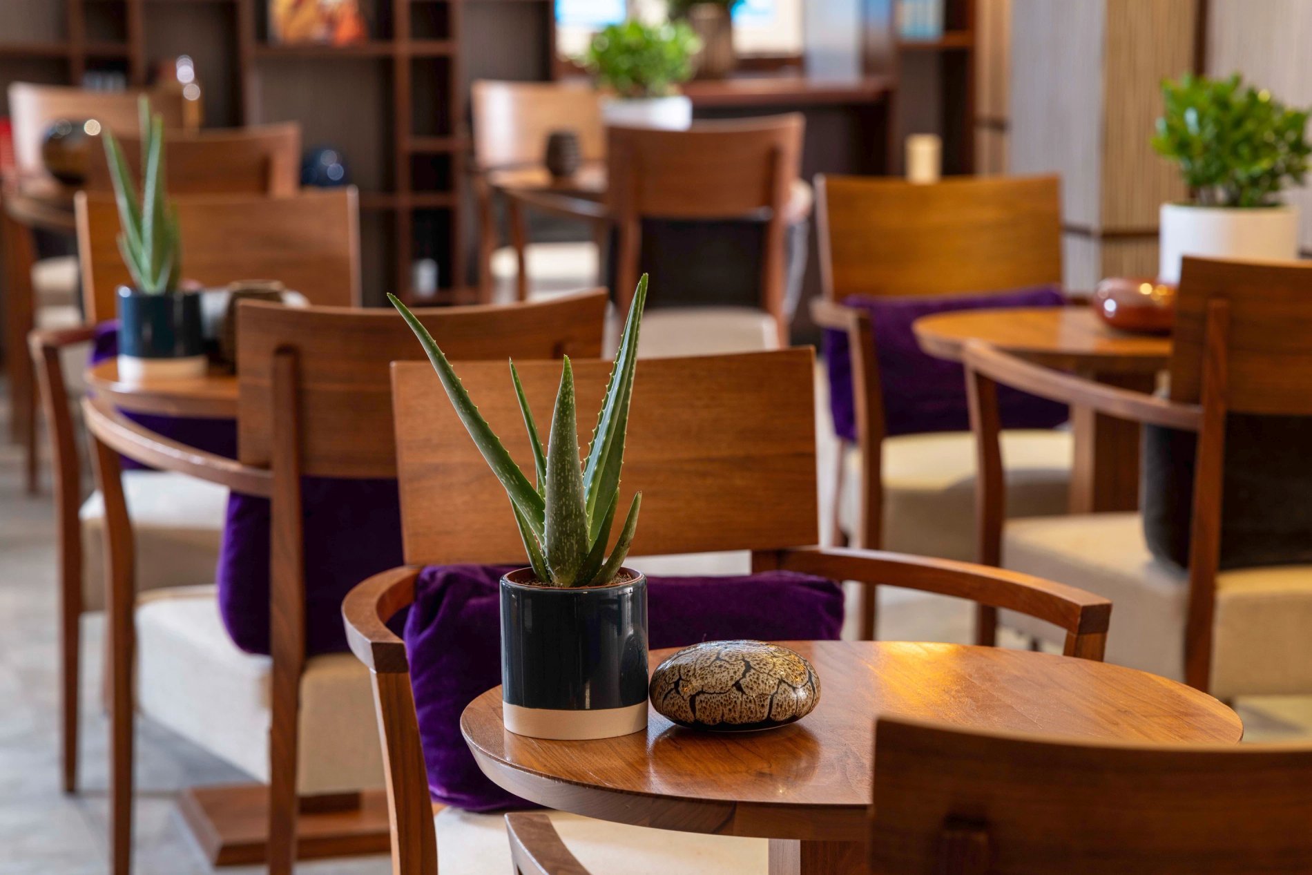 5923cbde-ab33-48b1-a12f-22c11af84f0a