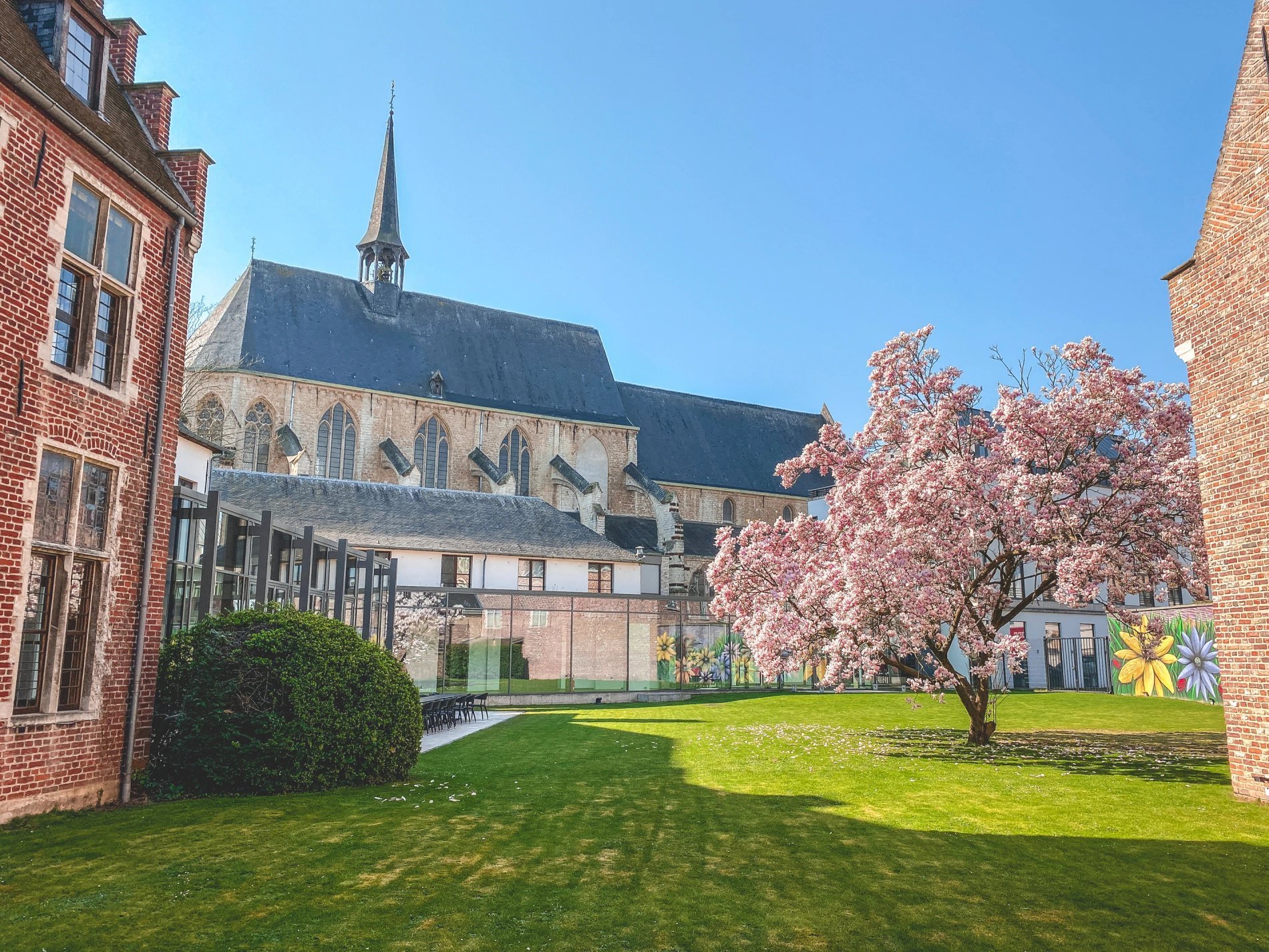 Jardin verdoyant et paisible au Martin's Klooster à Louvain.