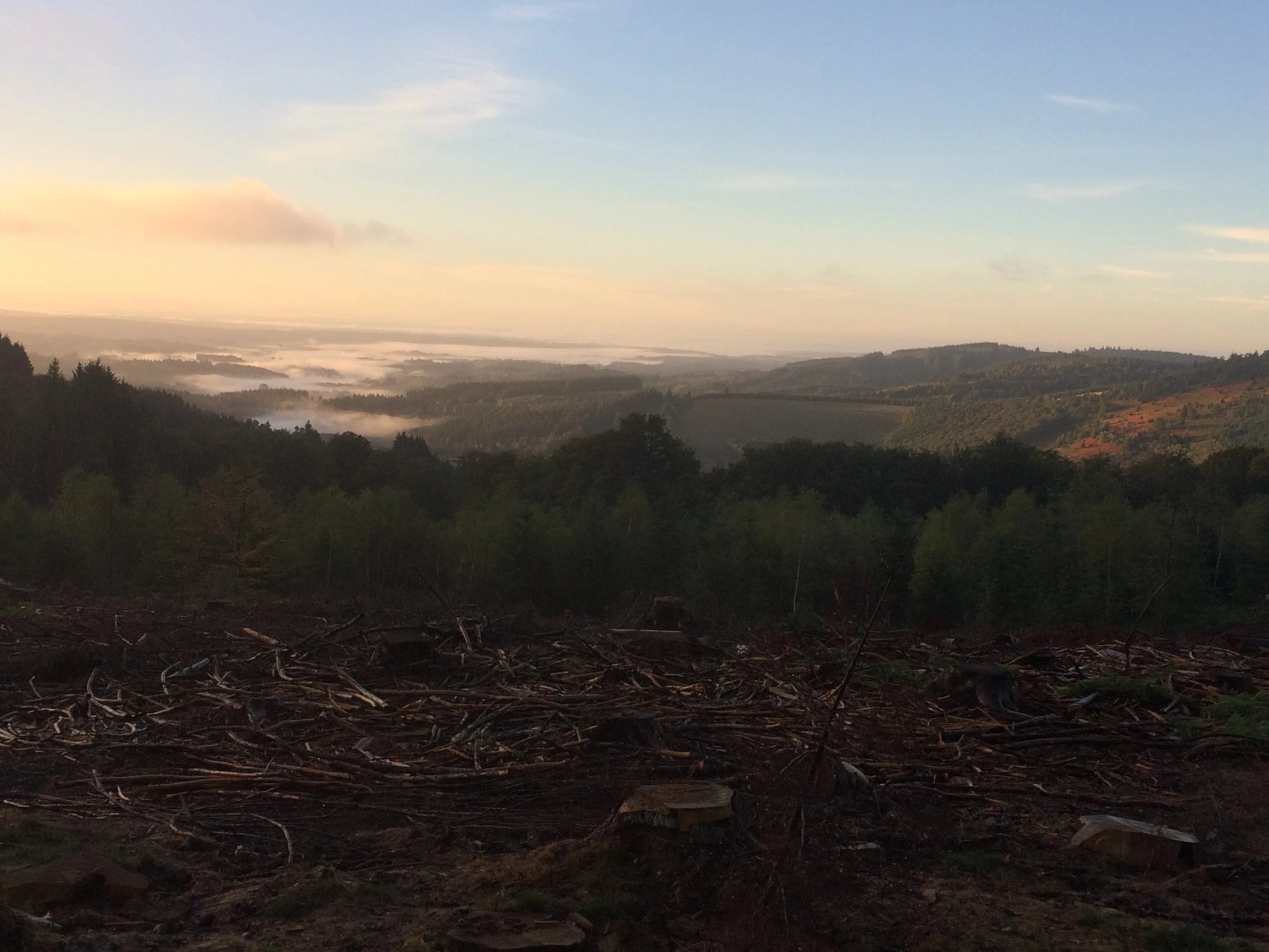 Vue brumeuse sur collines boisées au lever du soleil, depuis un sentier proche de Villa Corrèze Aventure.