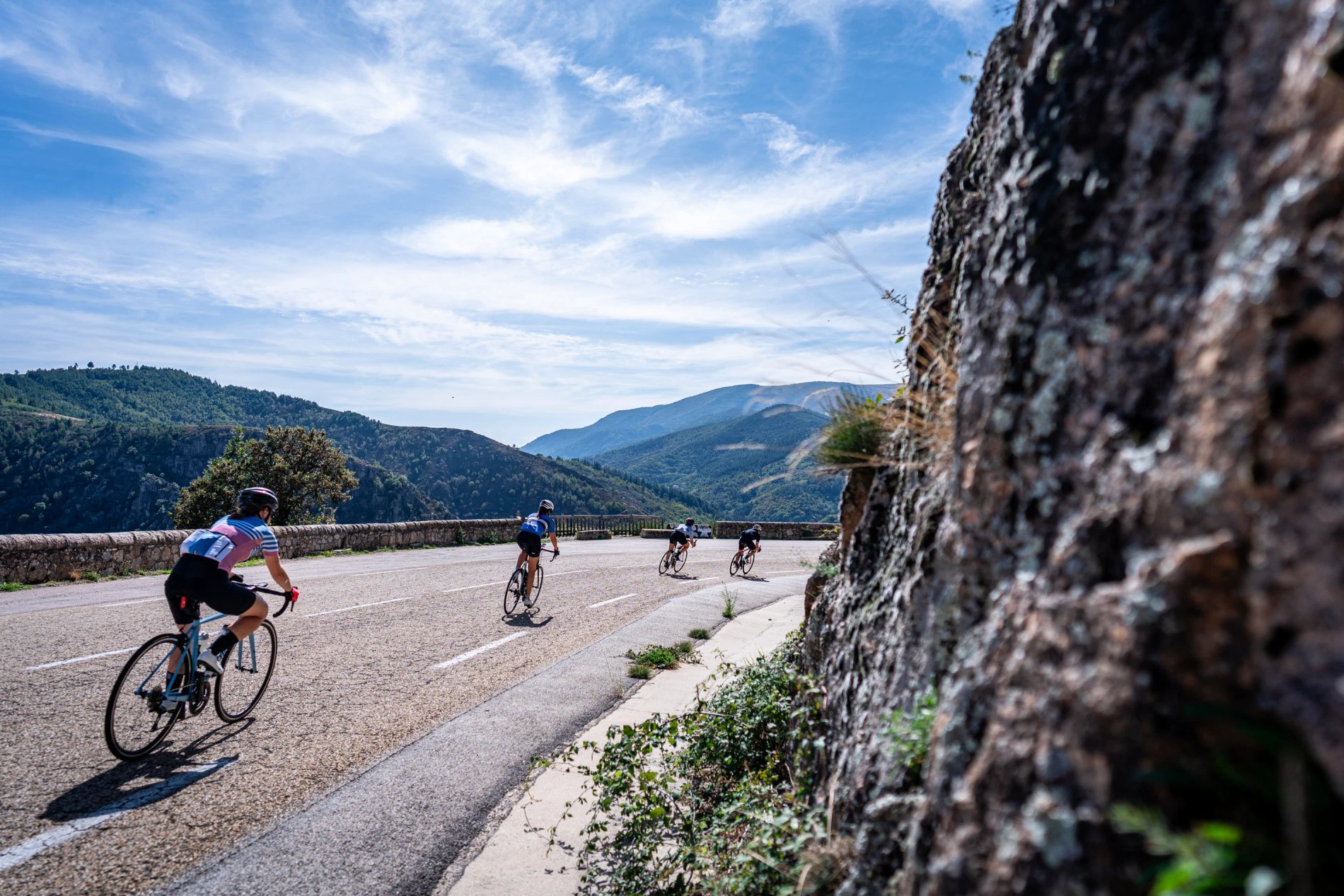 59e02c61-1afd-4e3f-bccf-95a3f51f31d2