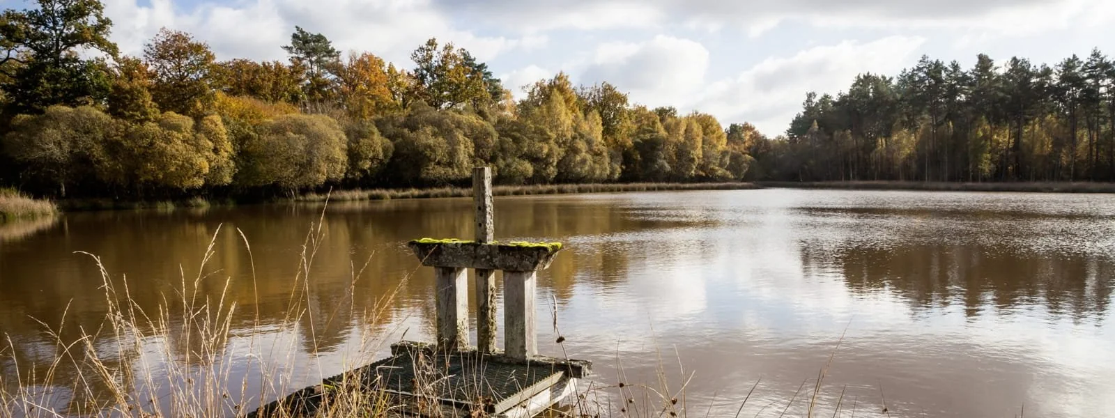 Break Hotel Vierzon | Tourism | Au coeur des étangs de Sologne