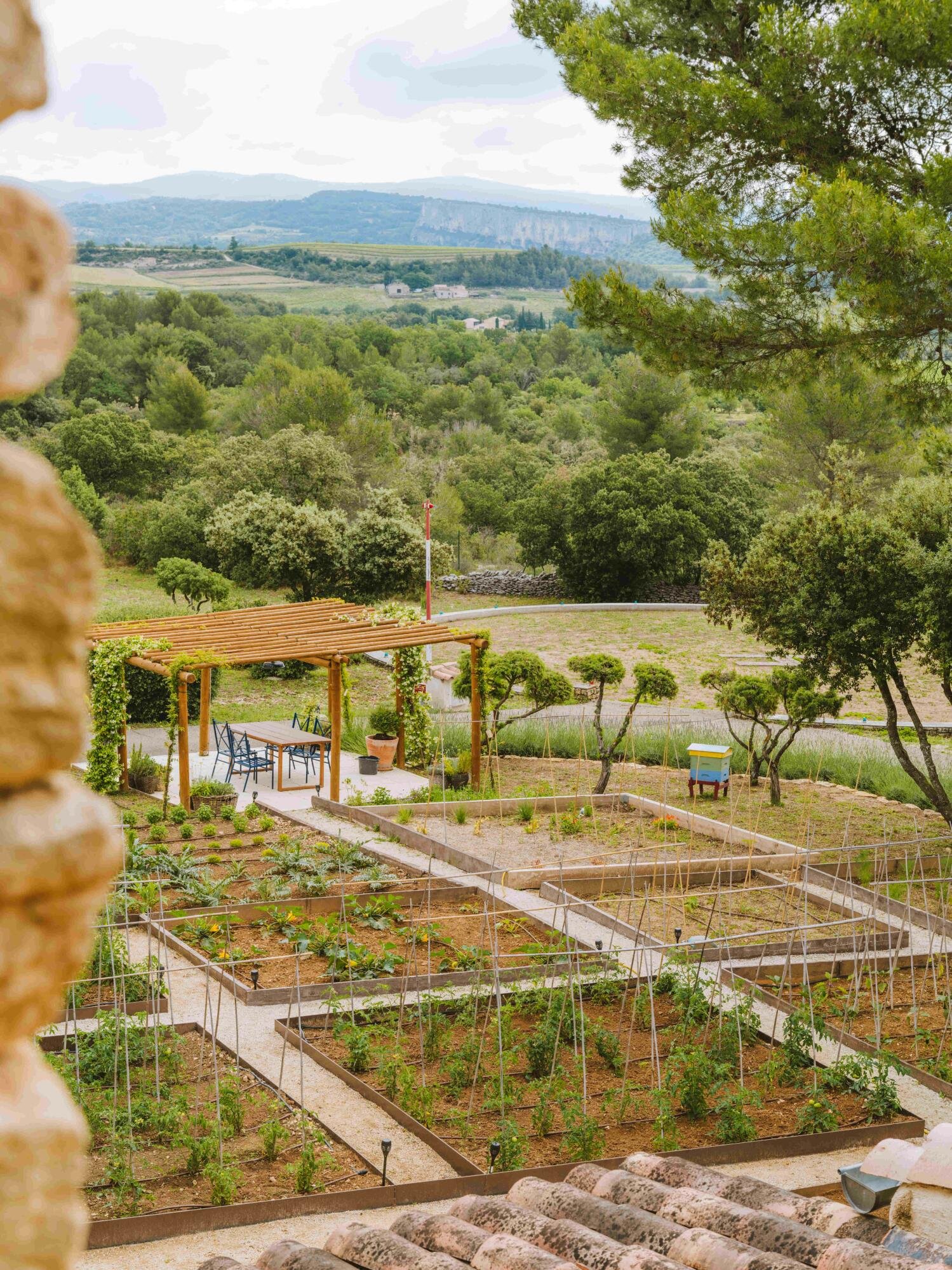 Le Phébus | Vegetable garden