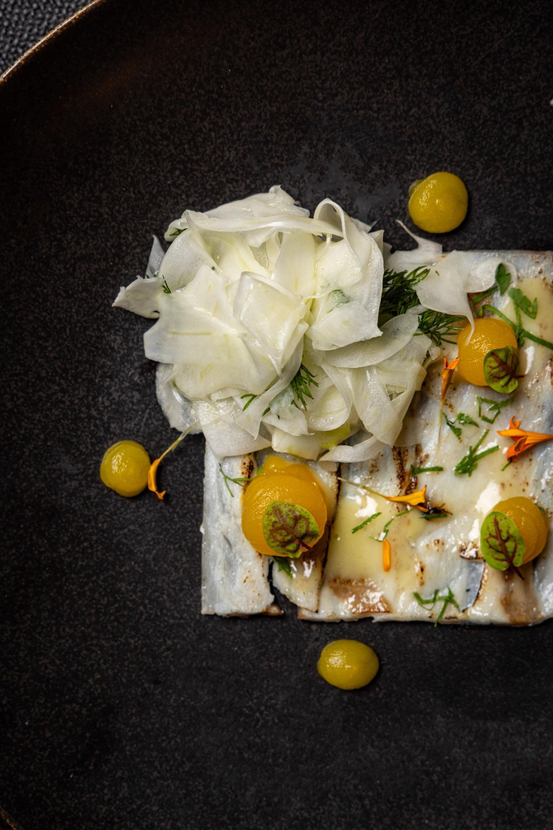 Restaurant Ma Dame | French cuisine