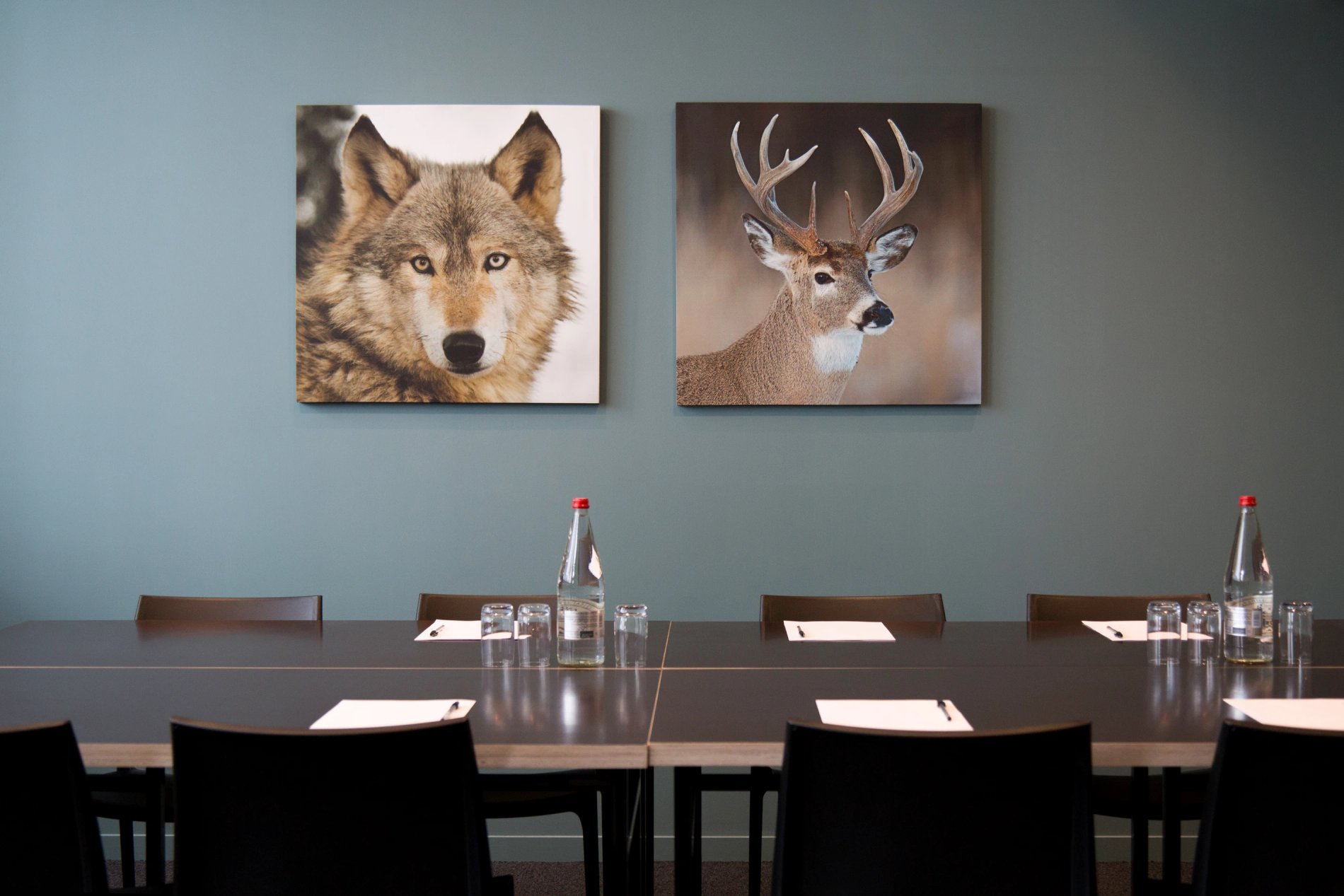 5b4c4f12-6109-4a1a-aaab-cbe2694433cc