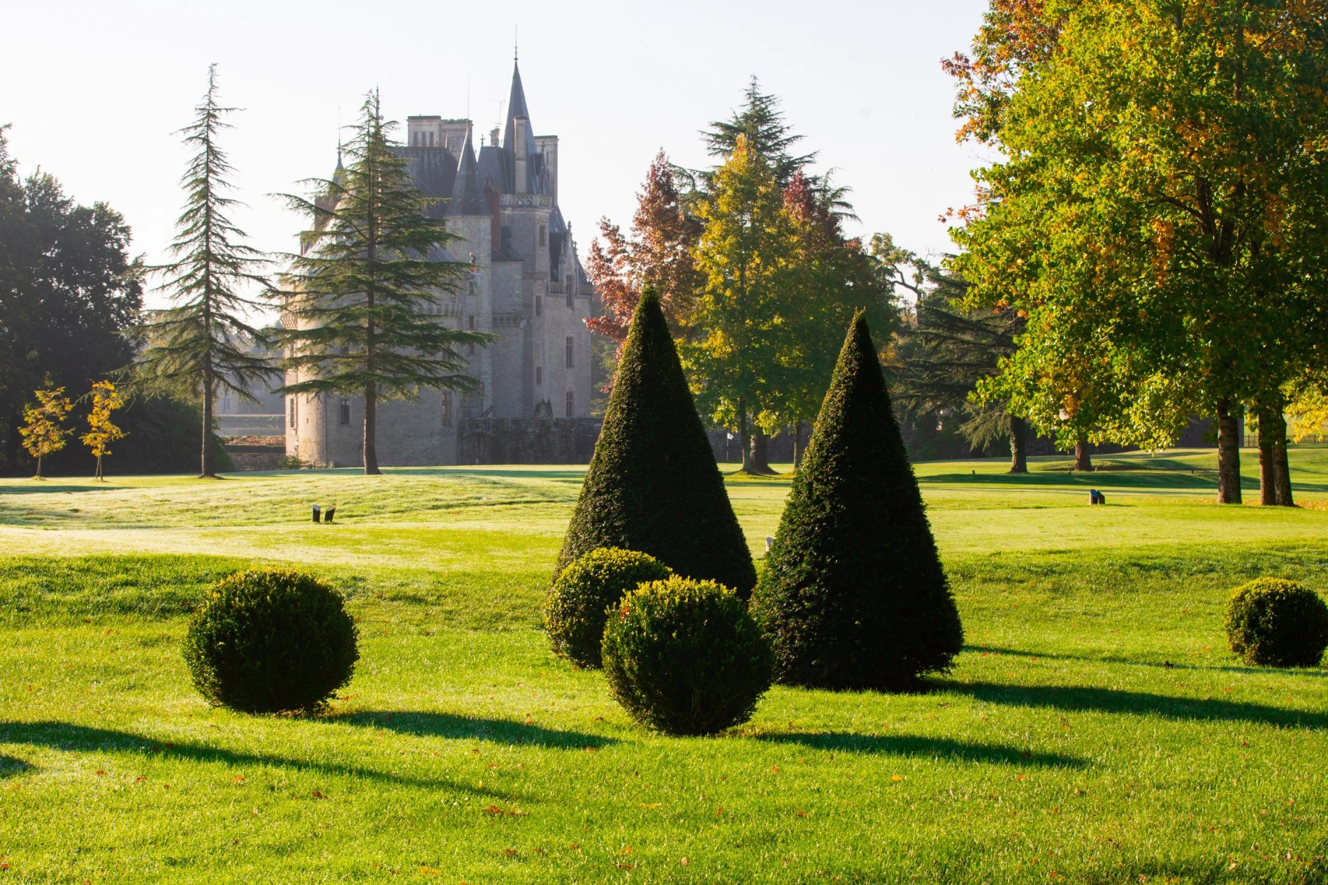 5b678804-654f-4bf0-a491-30cc55dcfdfa