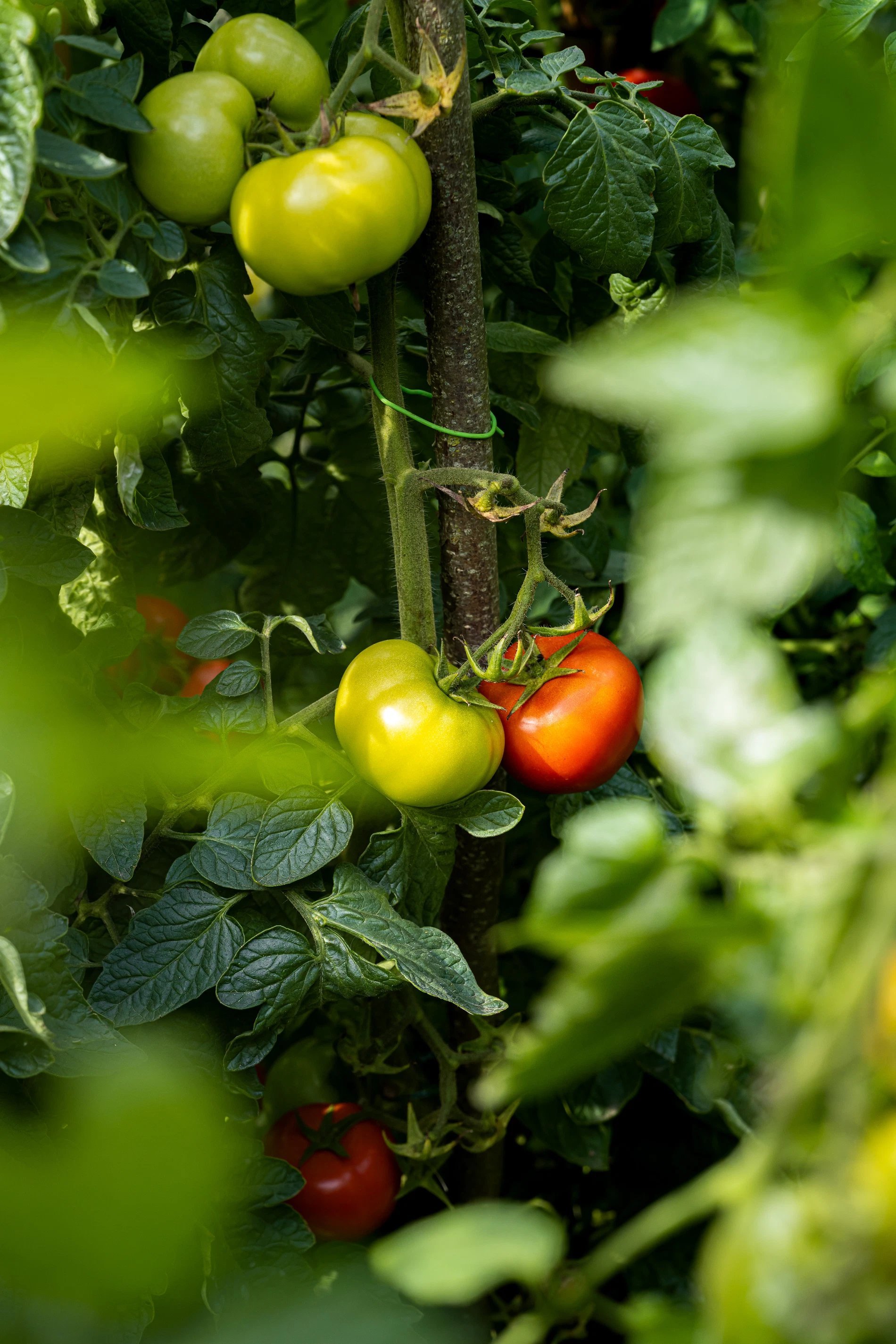 5c1940e9-b54e-4022-8689-d77e6bca44d2