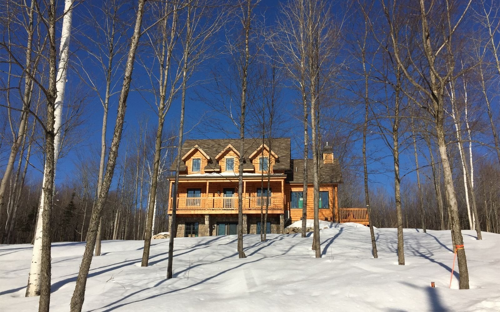 5d347e87-8f3b-40d4-978c-4448c8b0f7fa