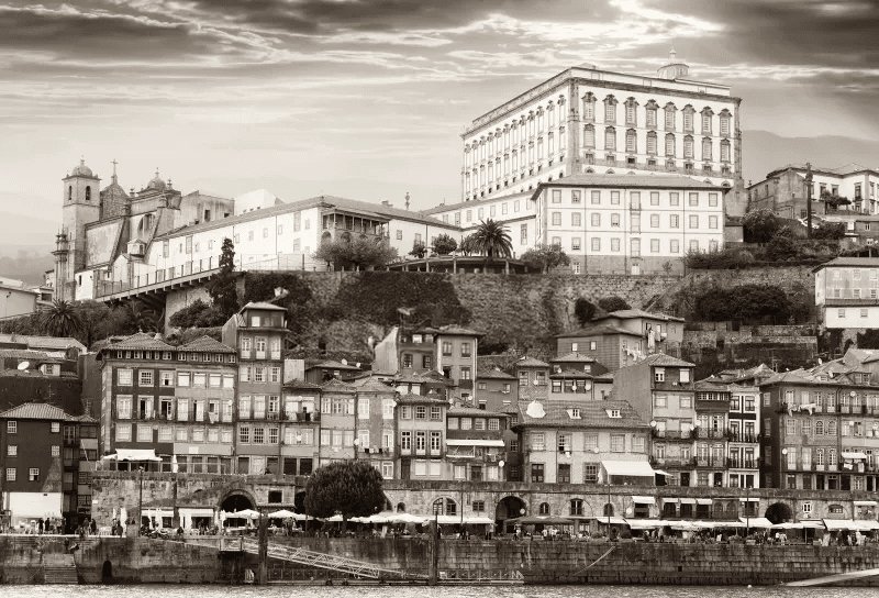 5d4d8fab-3d6e-4c2a-a3c3-a8cc283e4b50