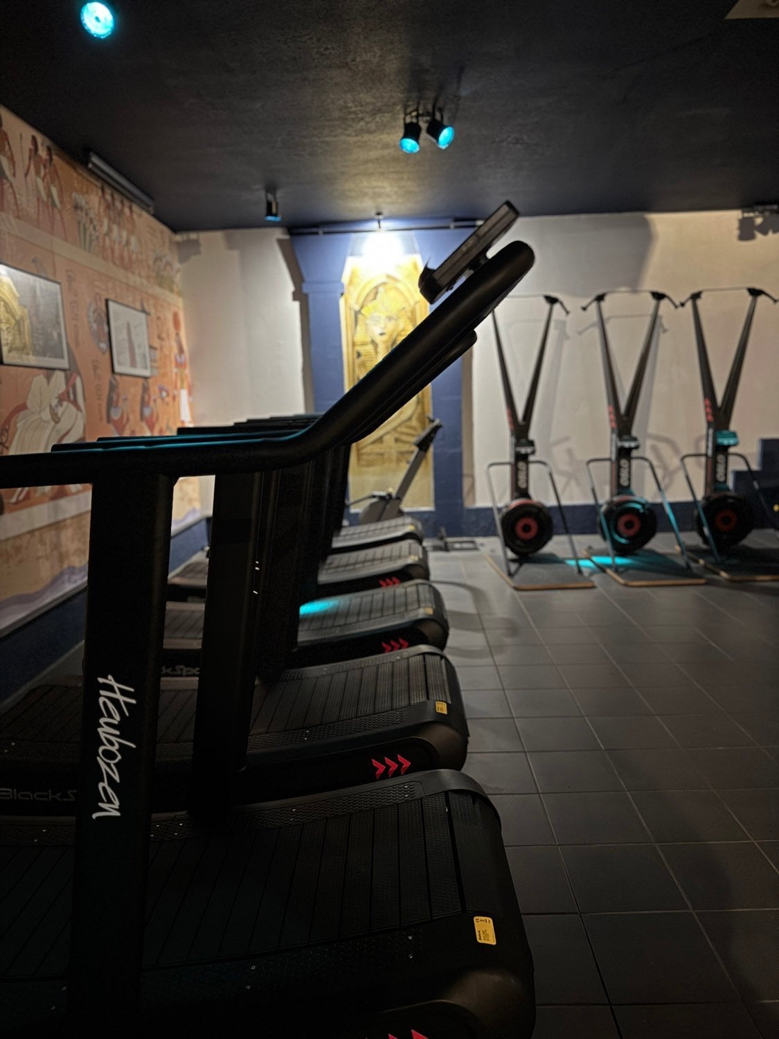 5d5ee482-f46e-4c45-a739-e6b11b2e2bce