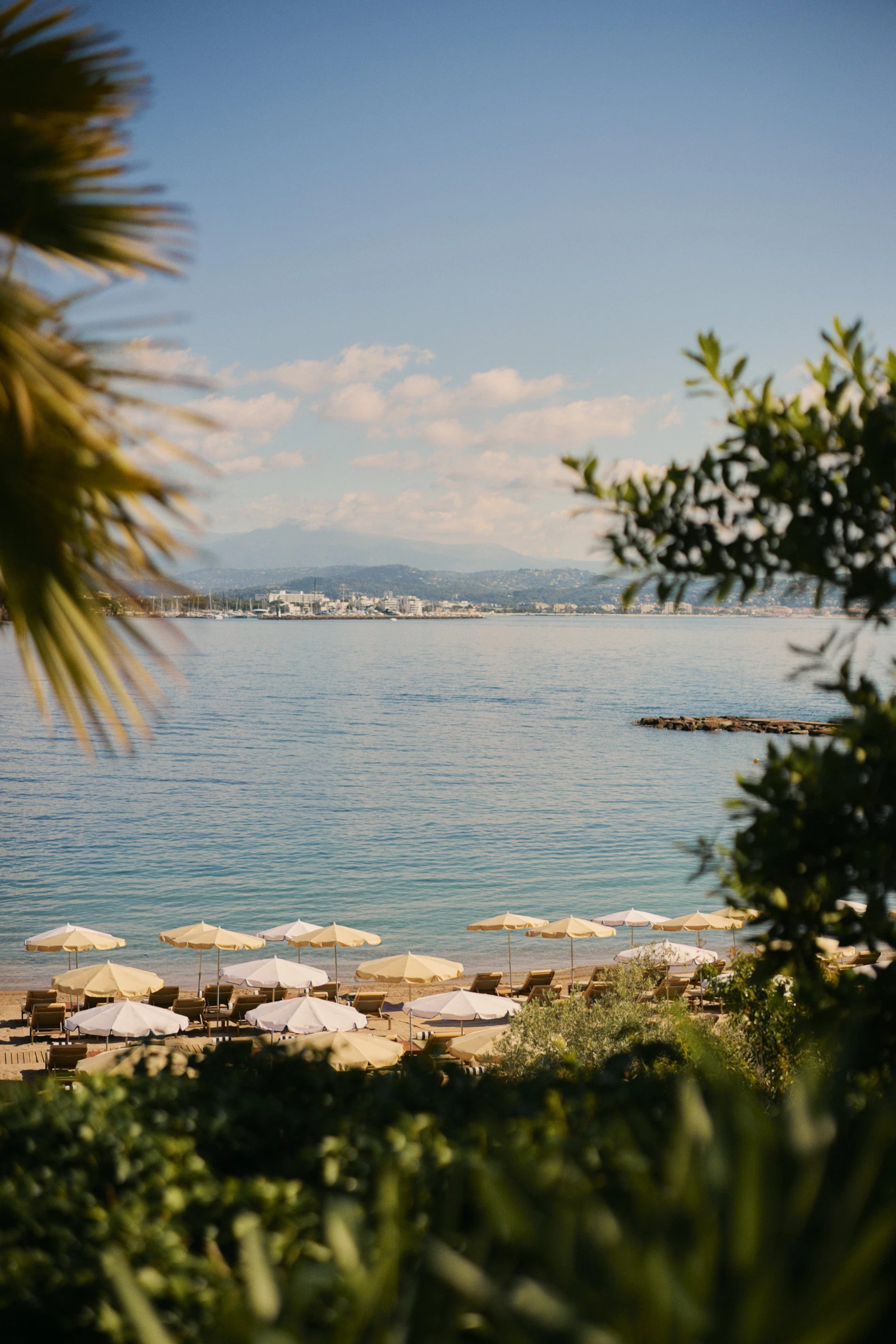 5e5c2f7d-52a2-41e5-8c4f-87cf10558cea