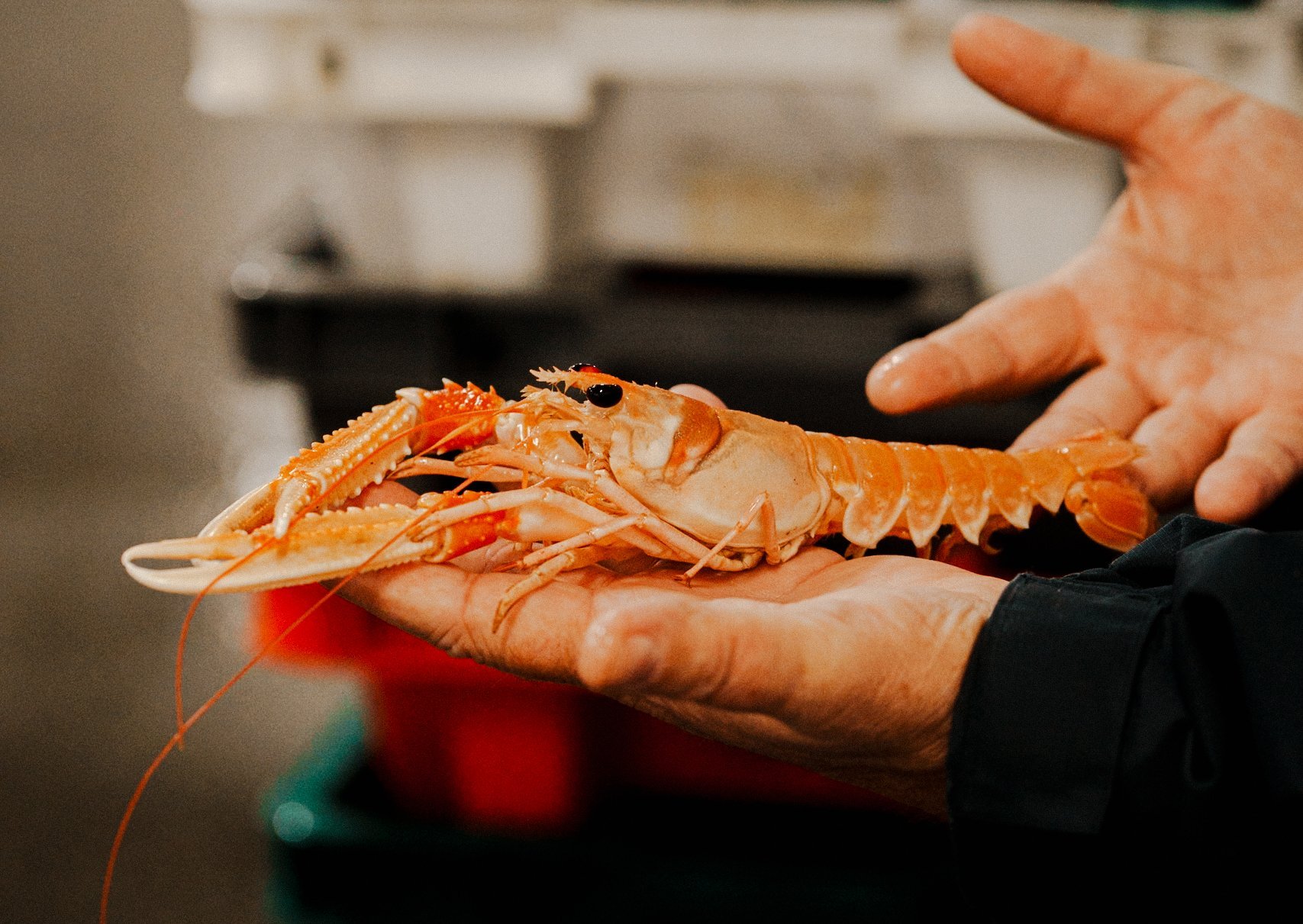 5f1def27-6ecc-48ab-af9d-b101ad27f036