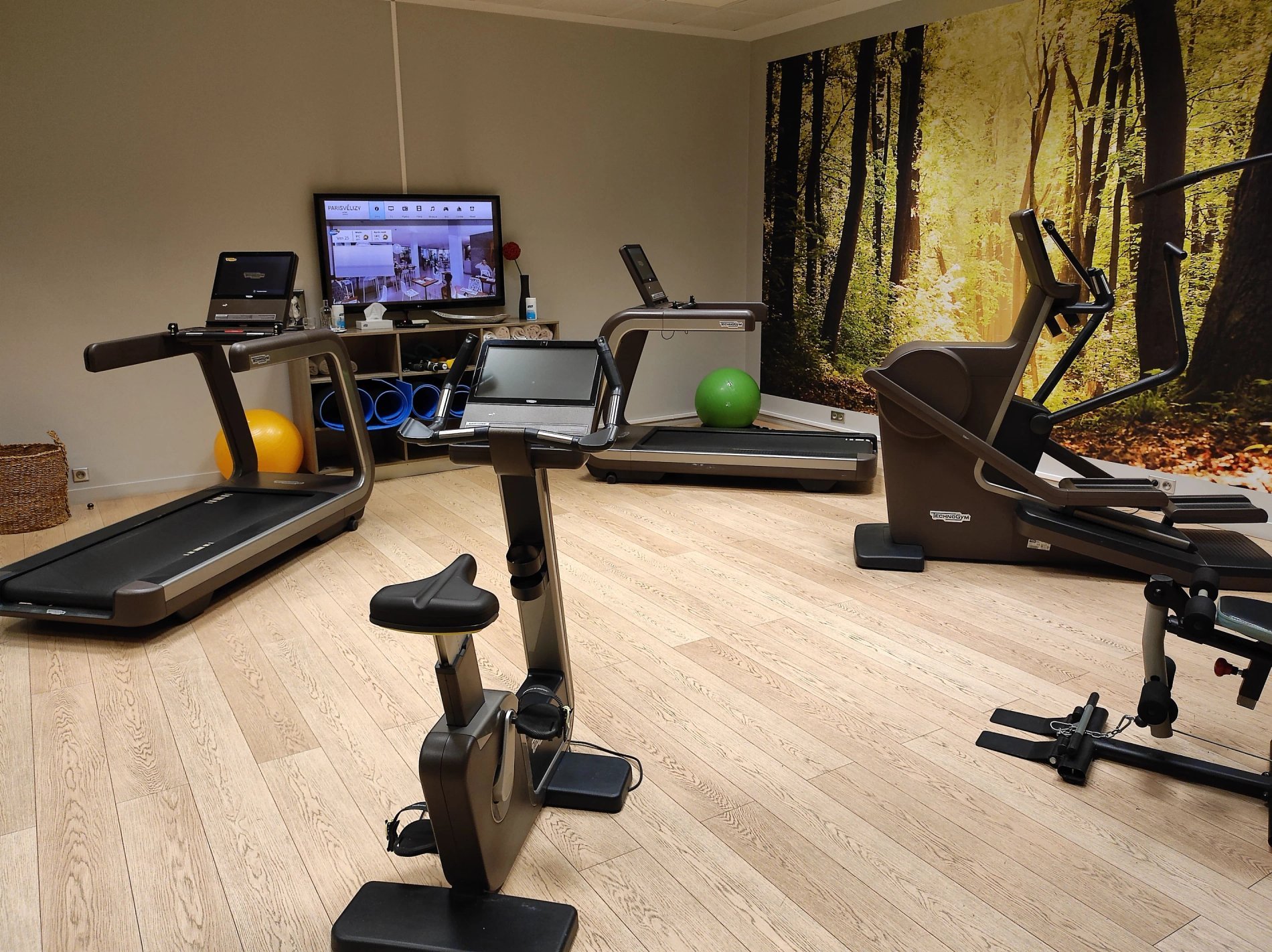 Best Western Plus Paris Vélizy fitness room